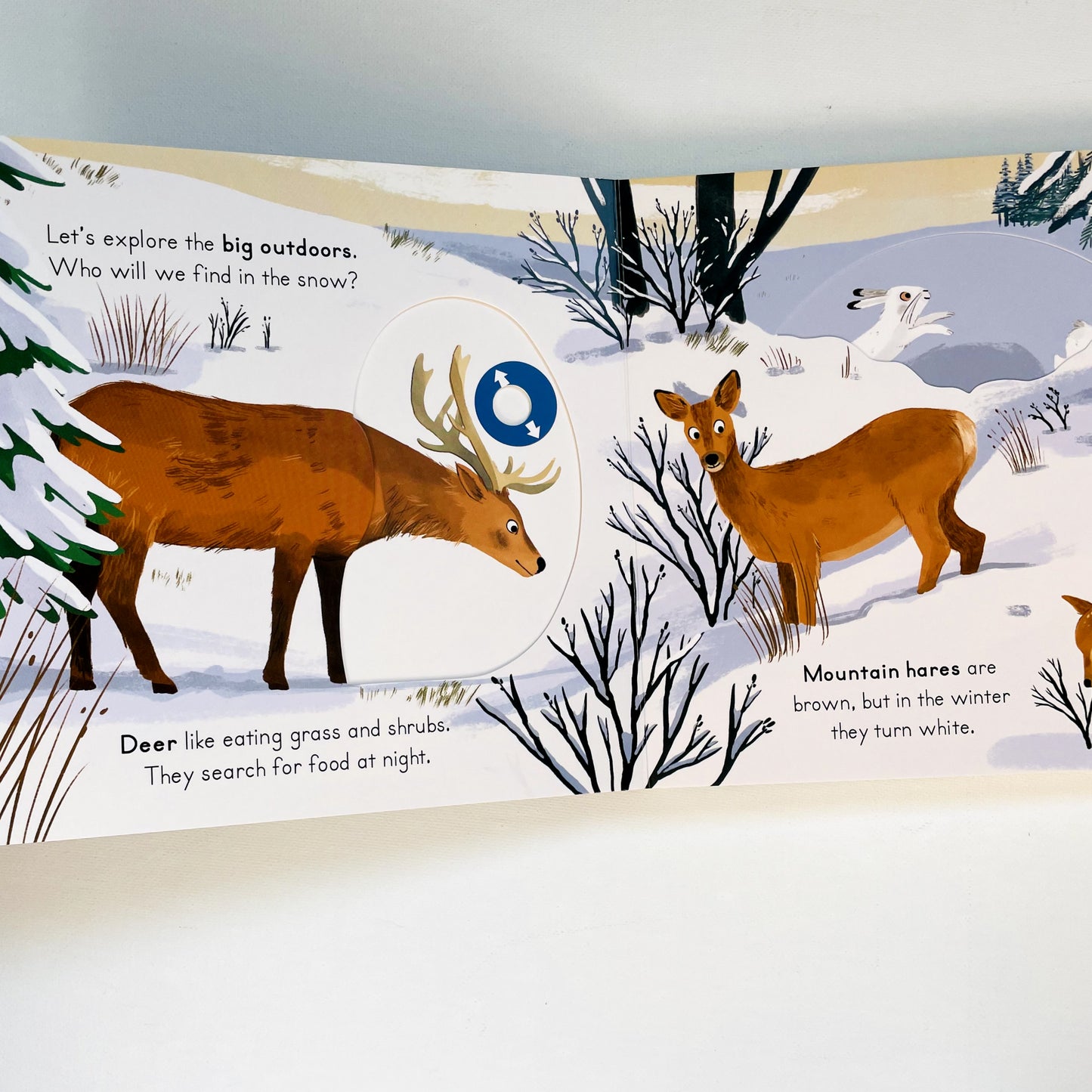 Big Outdoors for Little Explorers: Snow