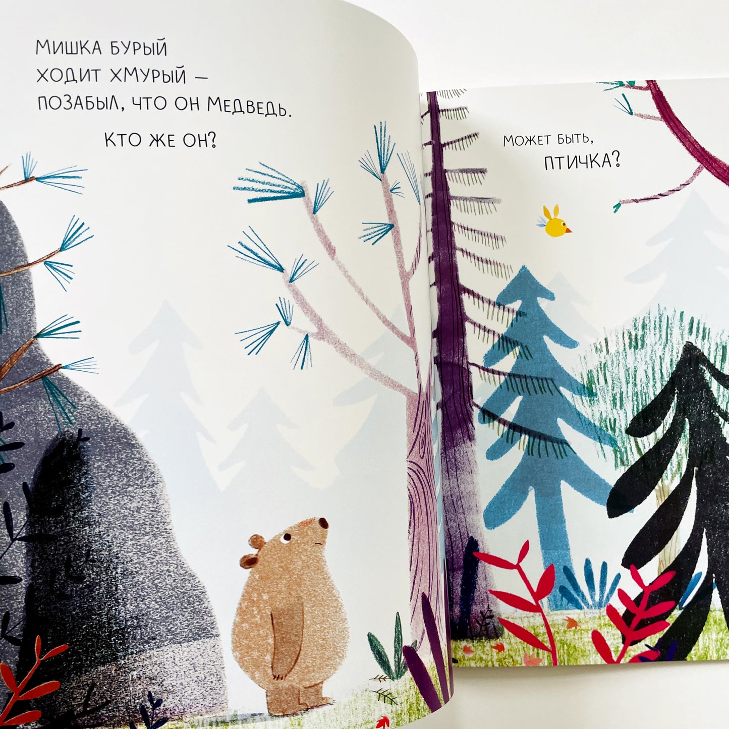 Медведь всегда медведь