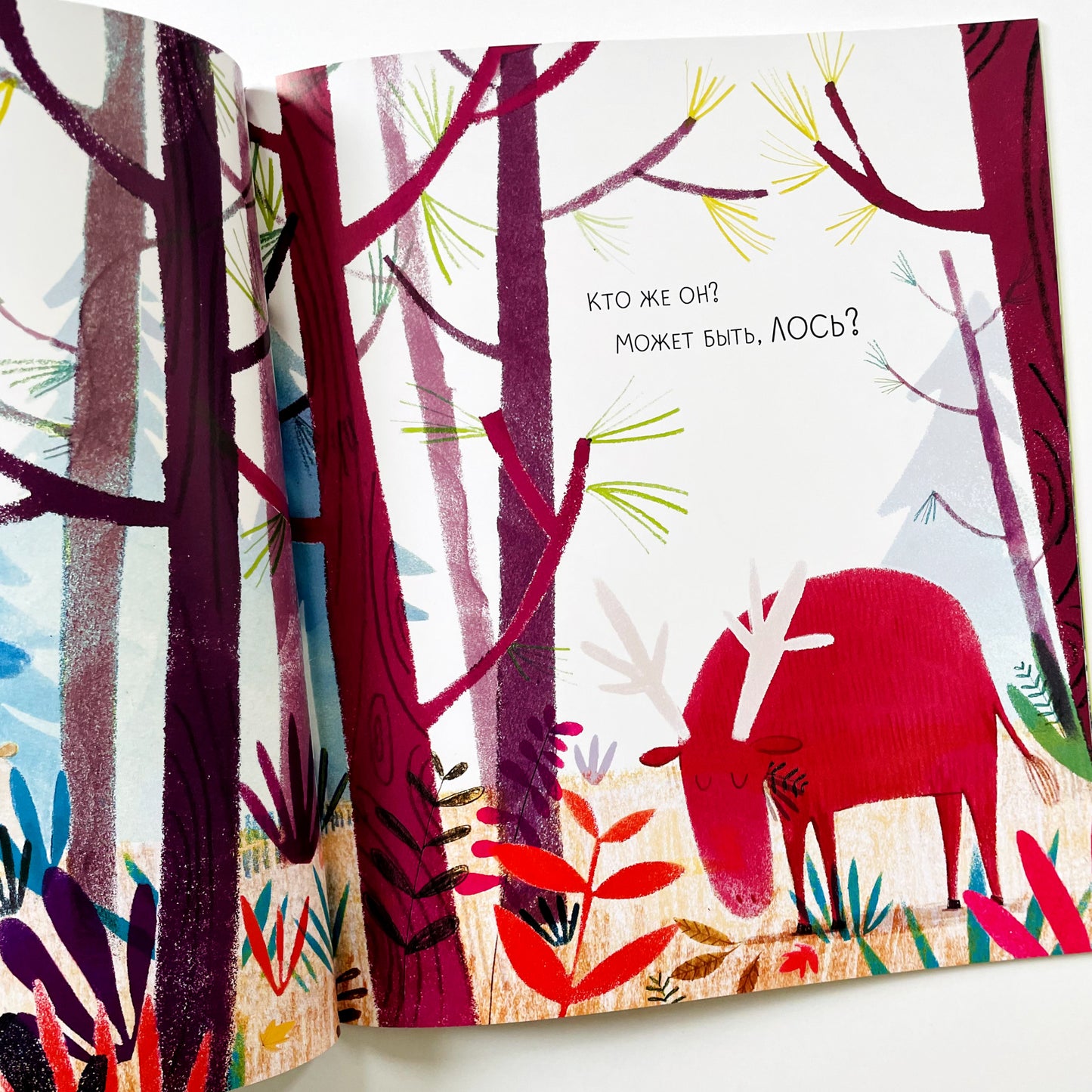 Медведь всегда медведь