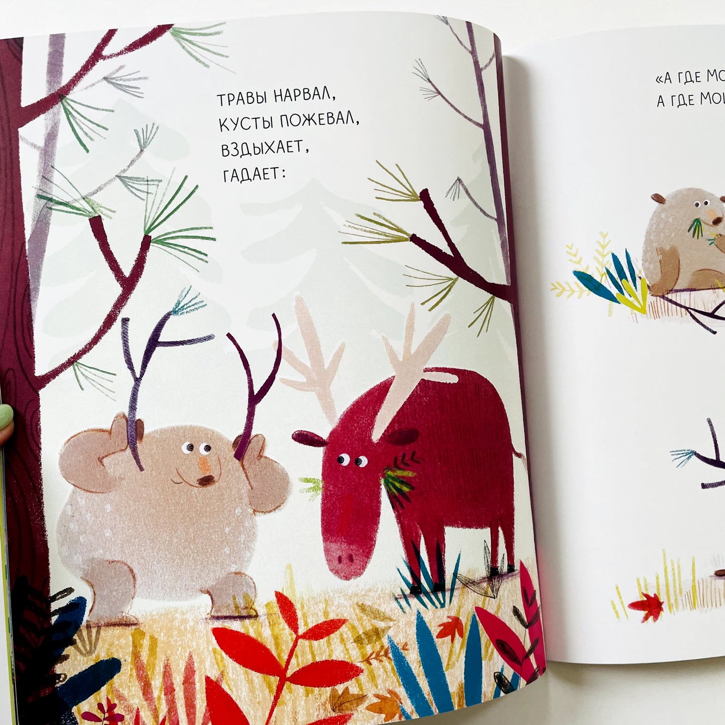 Медведь всегда медведь