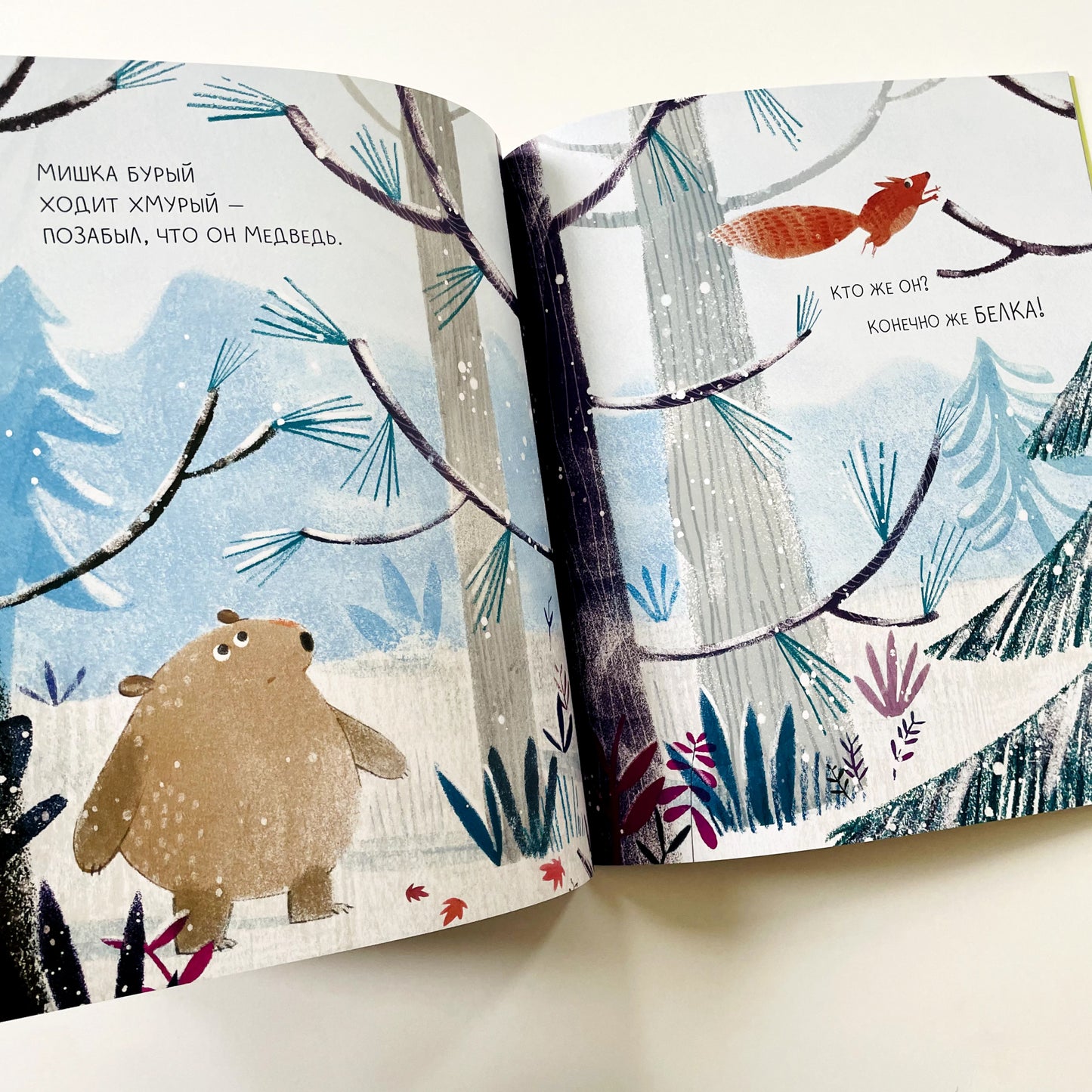 Медведь всегда медведь