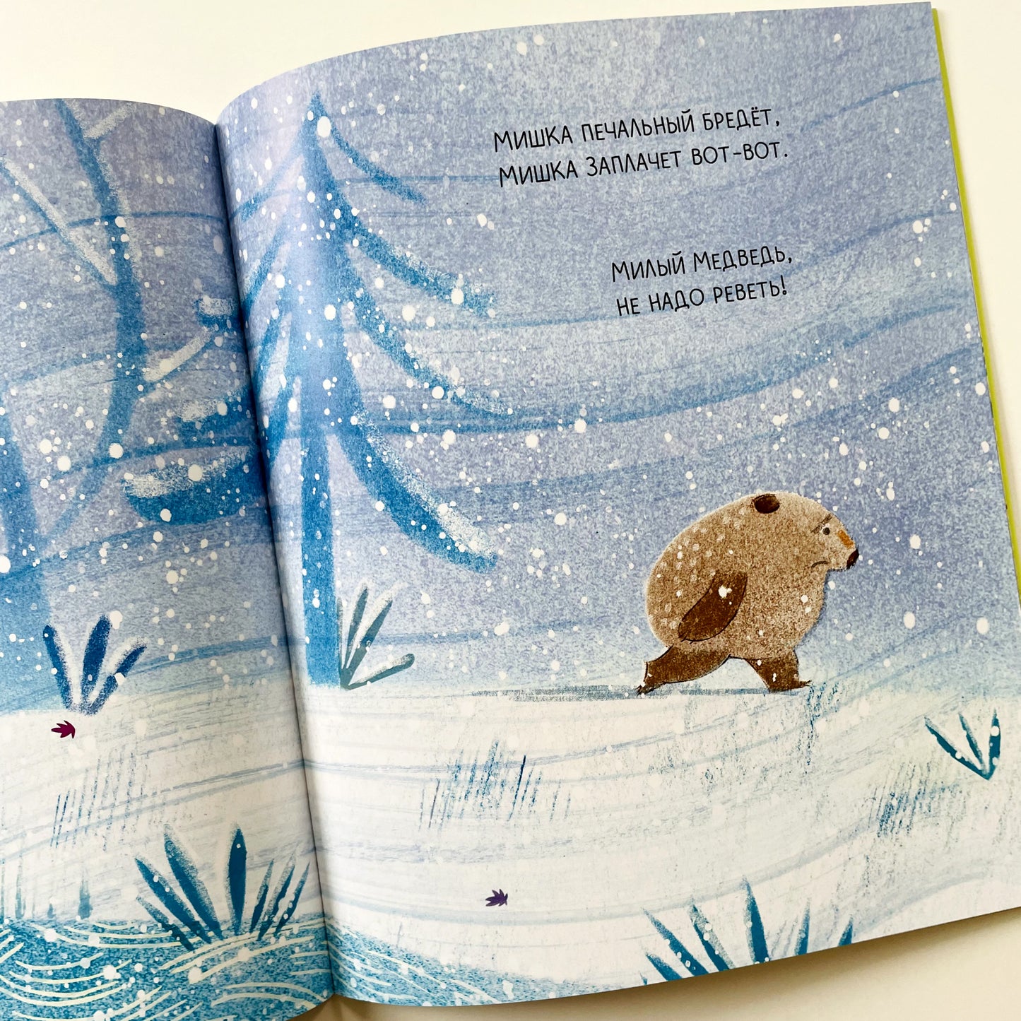 Медведь всегда медведь