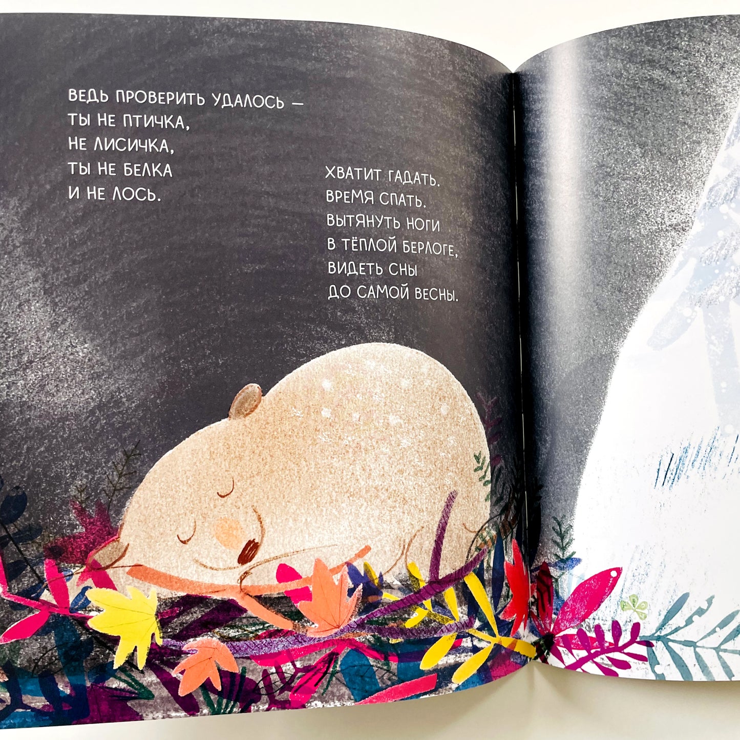 Медведь всегда медведь