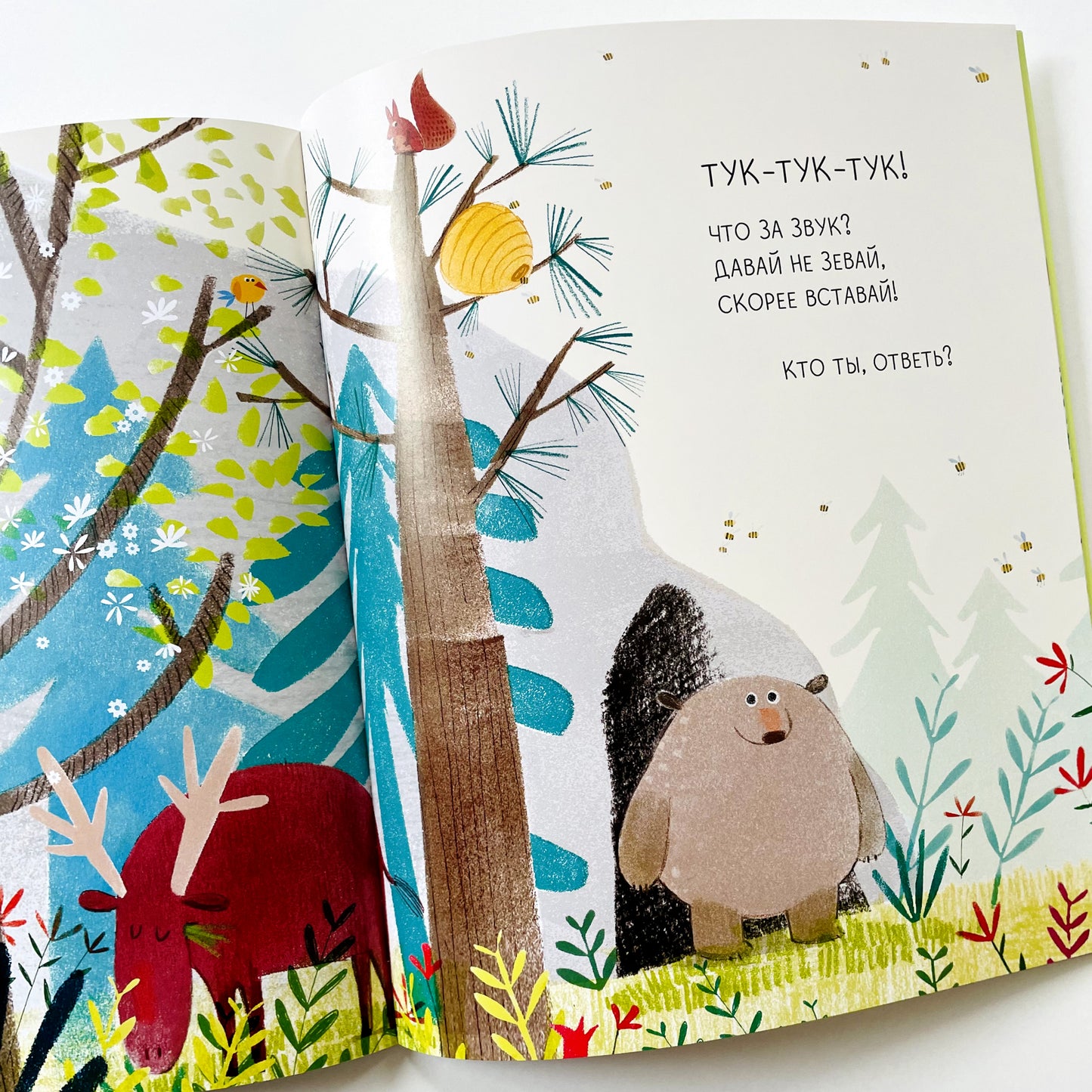 Медведь всегда медведь