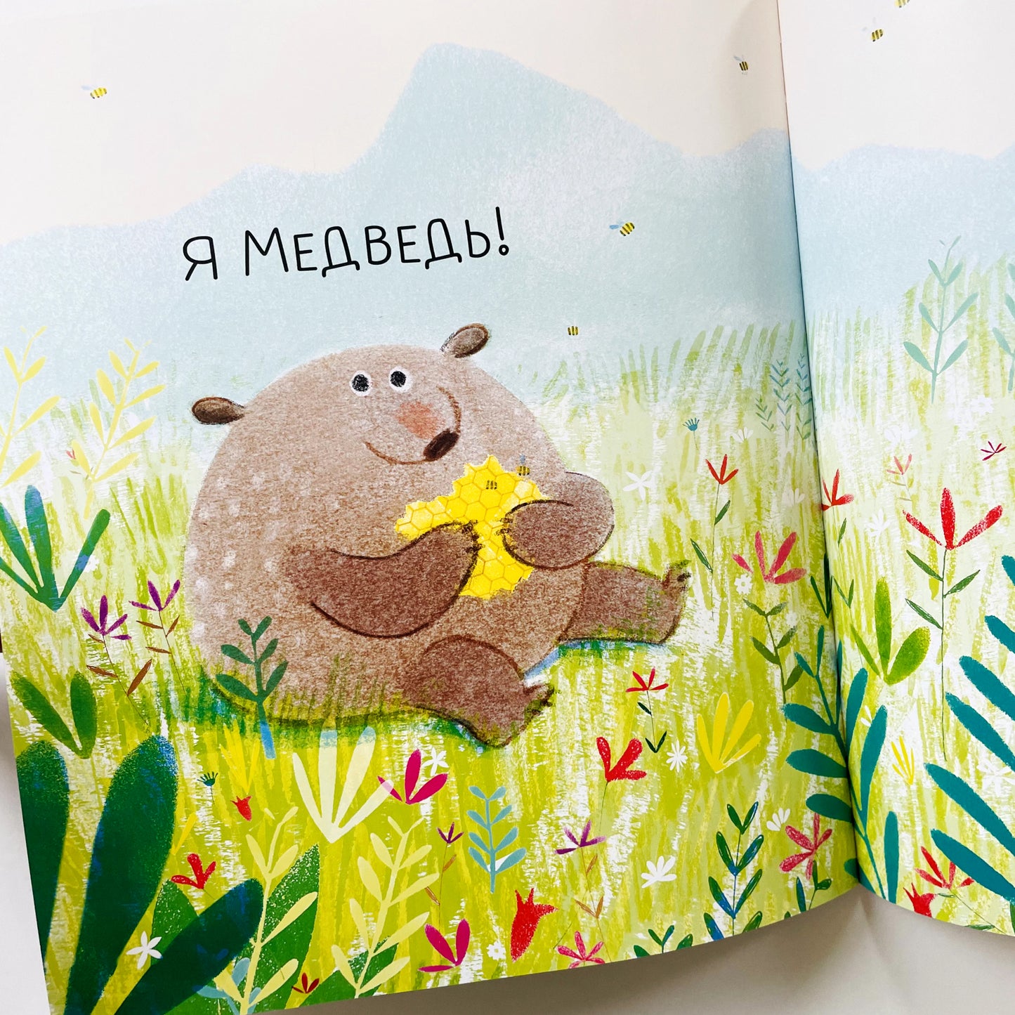 Медведь всегда медведь