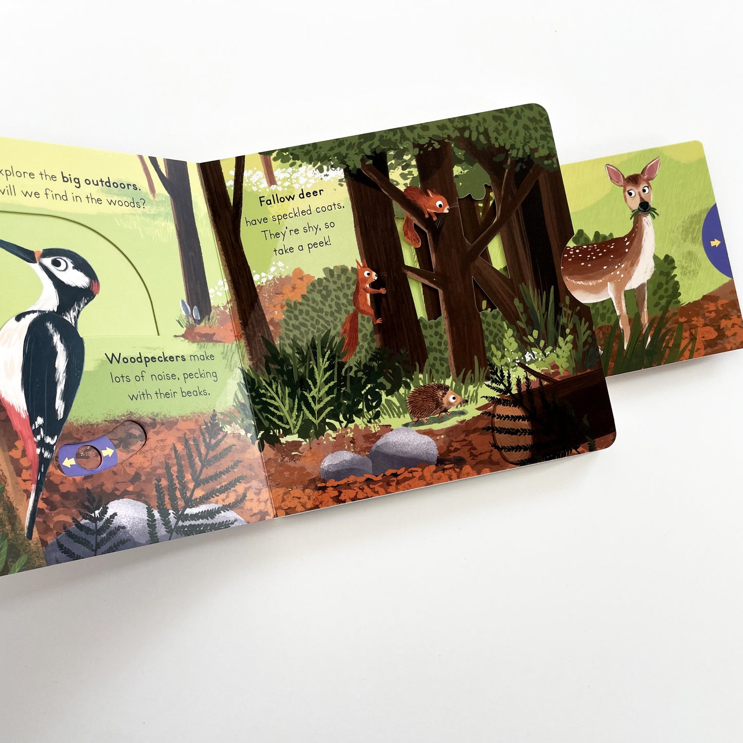 Big Outdoors for Little Explorers: Woods