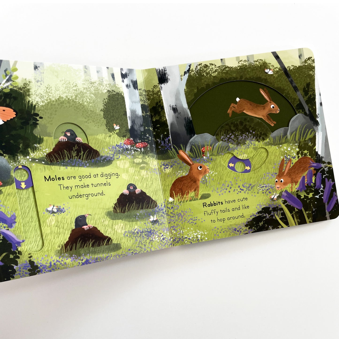 Big Outdoors for Little Explorers: Woods