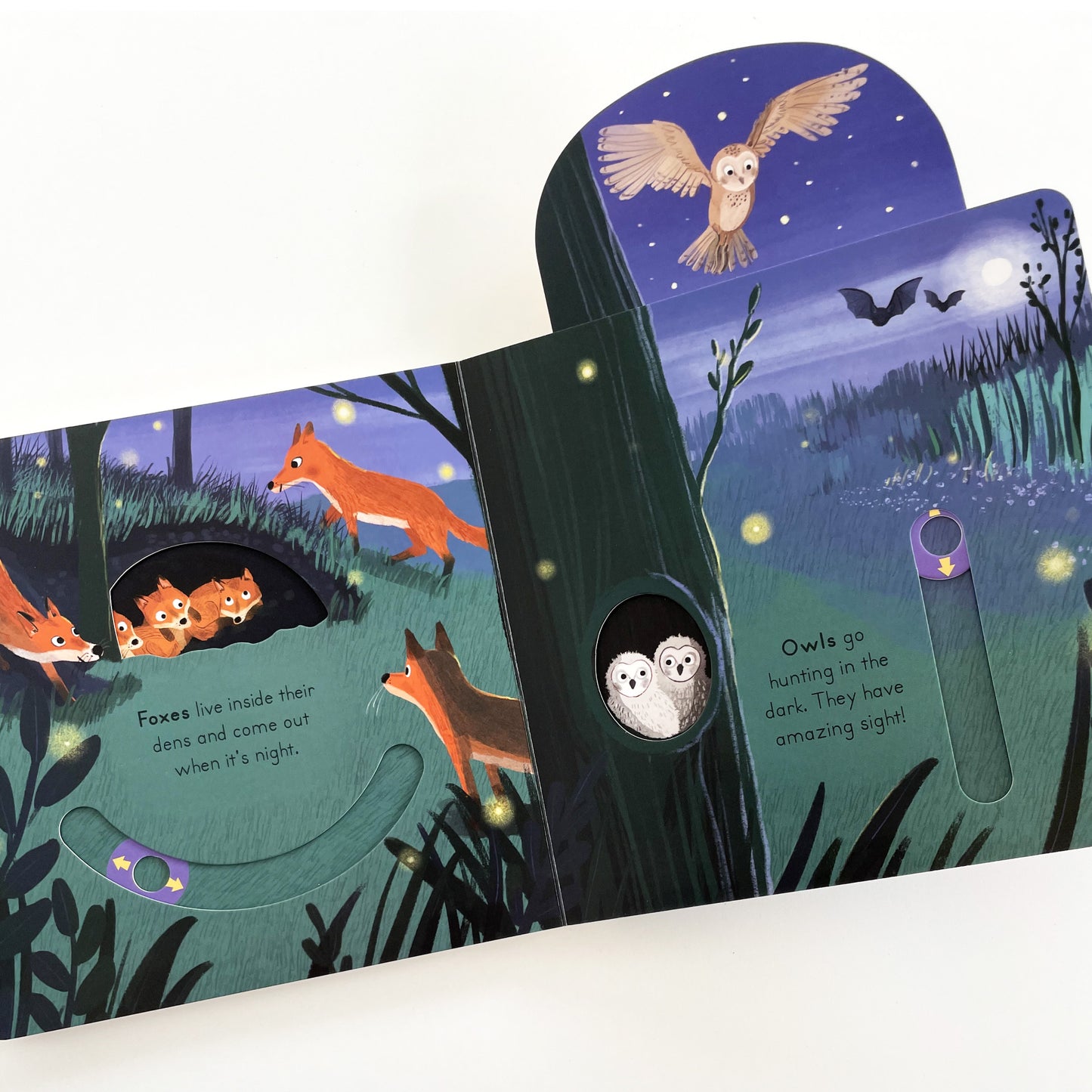 Big Outdoors for Little Explorers: Woods