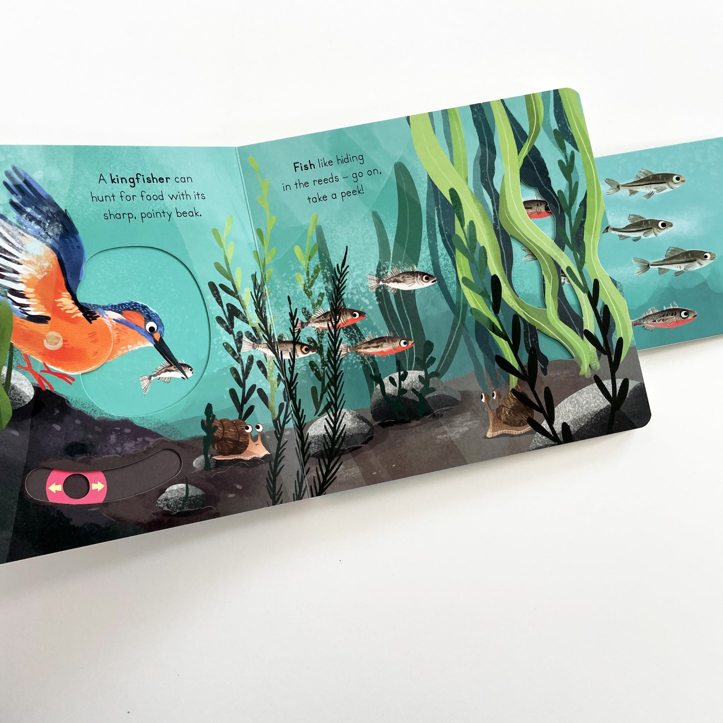 Big Outdoors for Little Explorers: River