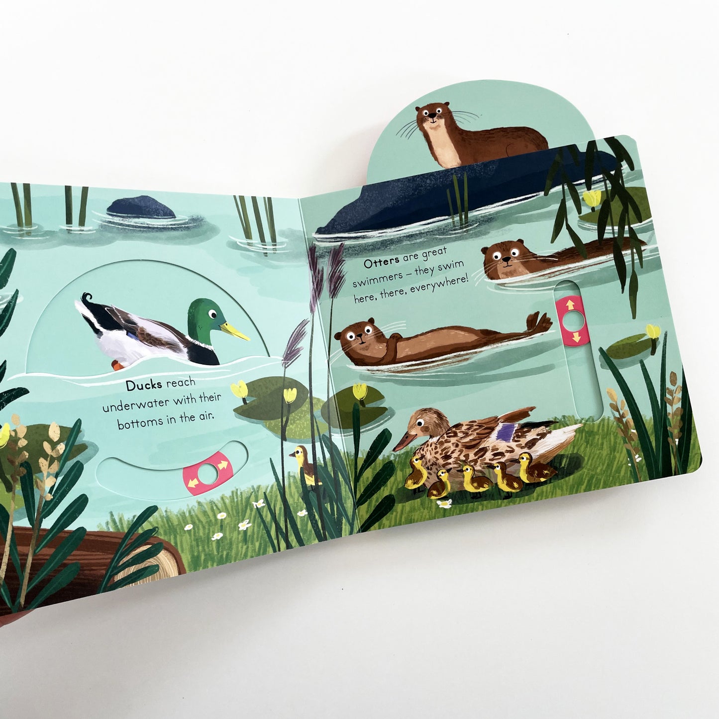Big Outdoors for Little Explorers: River