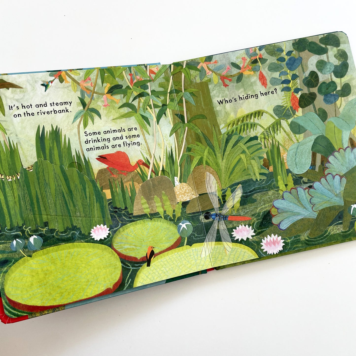 Who’s Hiding in the Jungle?