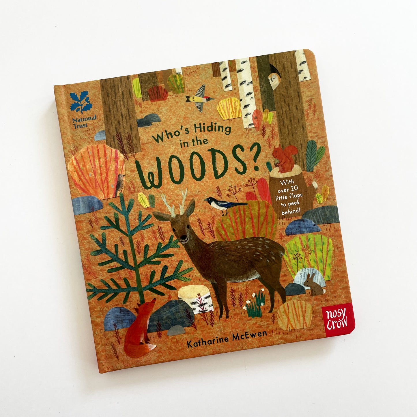 Who’s Hiding in the Woods?