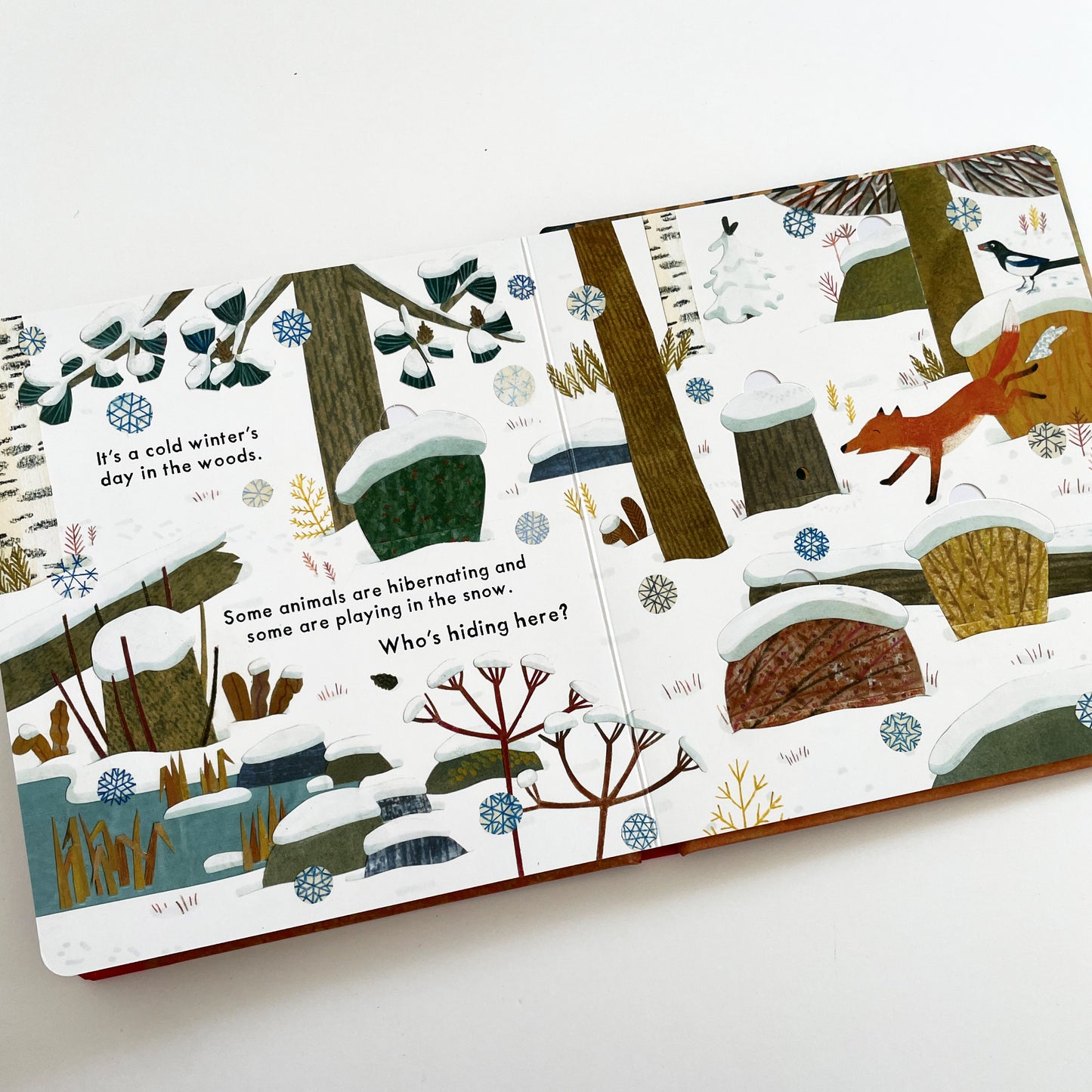 Who’s Hiding in the Woods?