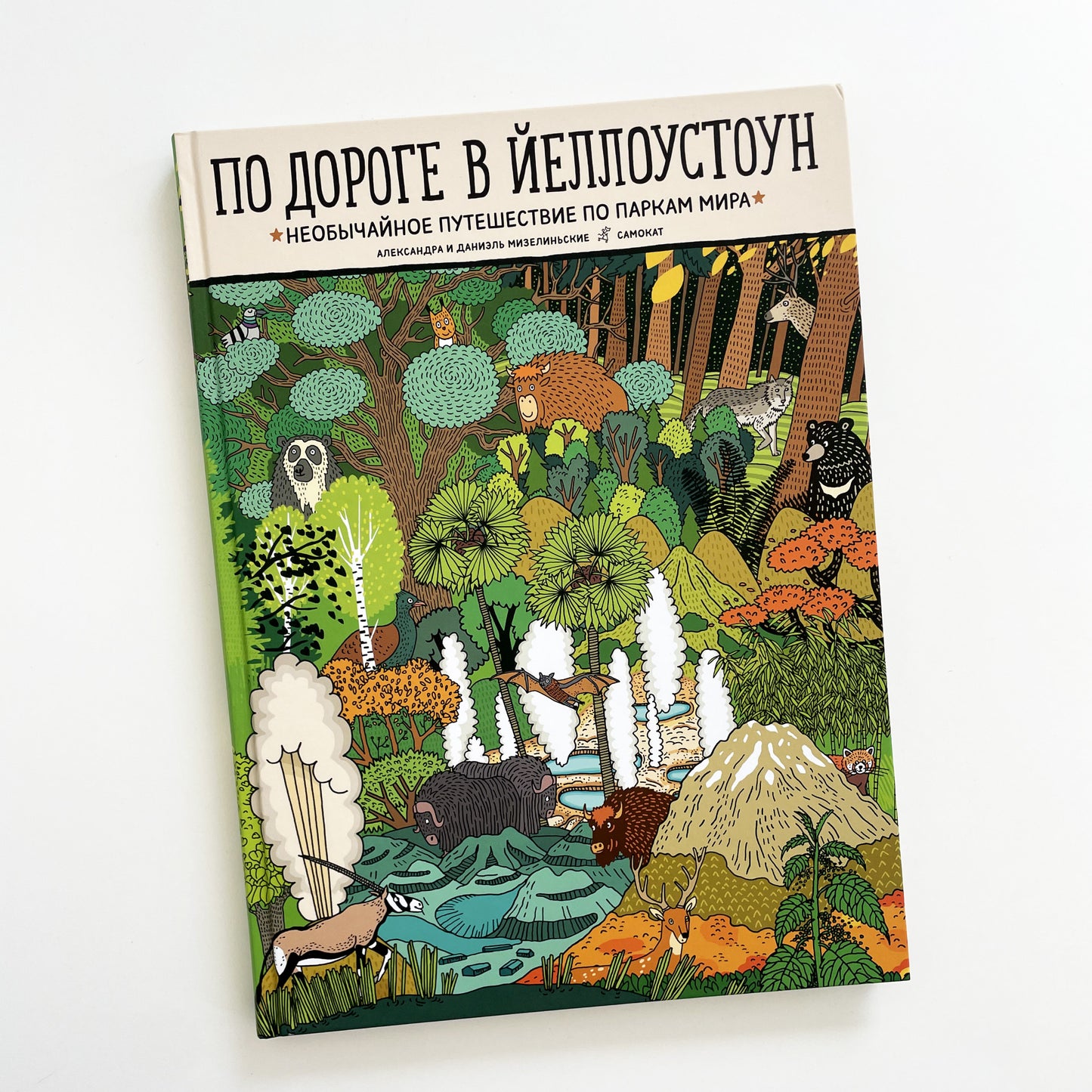 По дороге в Йеллоустоун