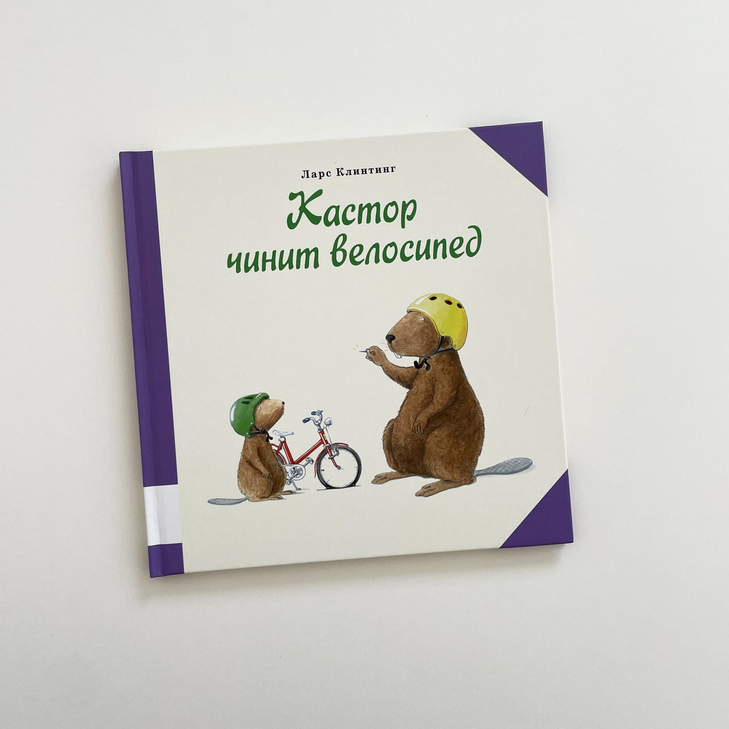 Кастор чинит велосипед