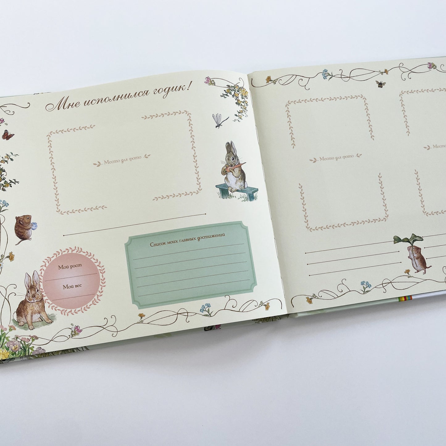 Мой первый год