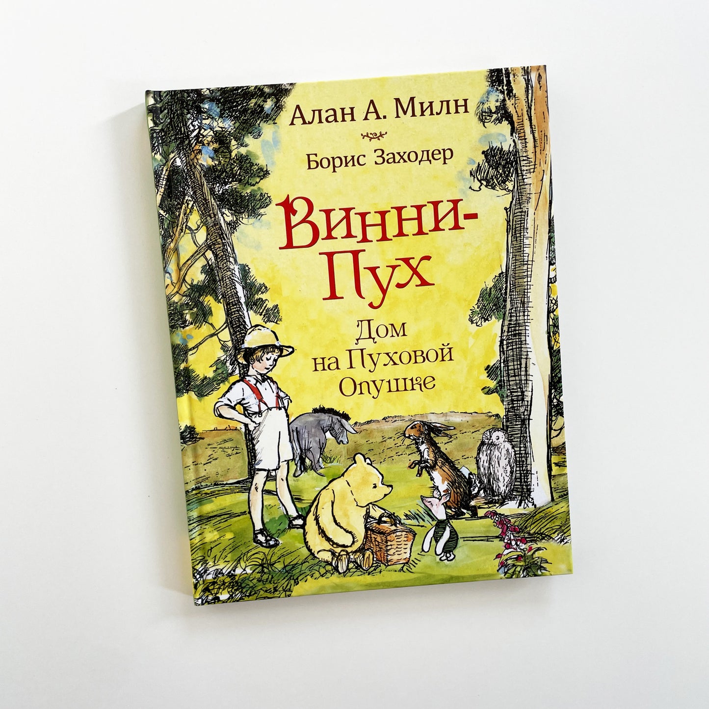 Винни-пух. Дом на Пуховой Опушке