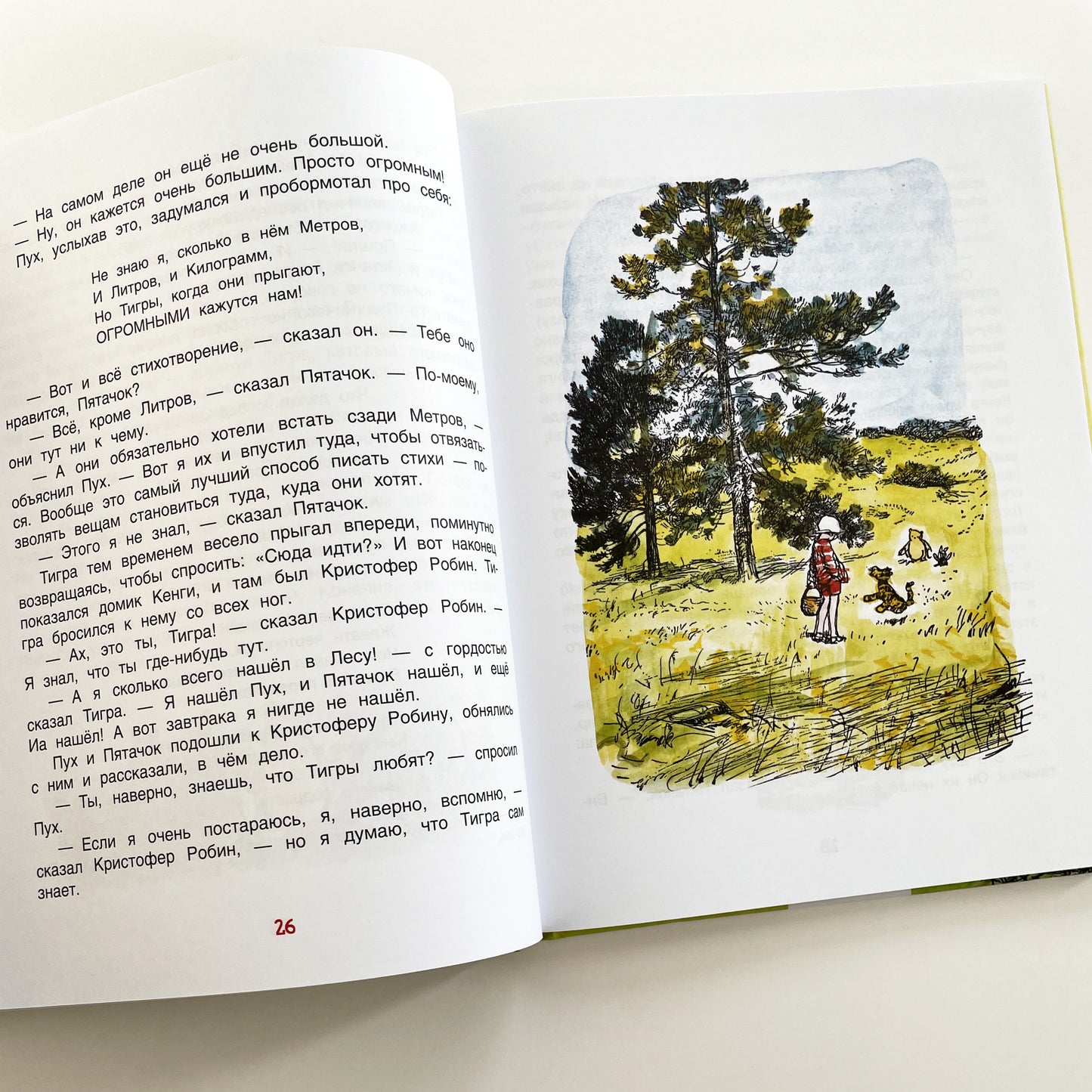 Винни-пух. Дом на Пуховой Опушке