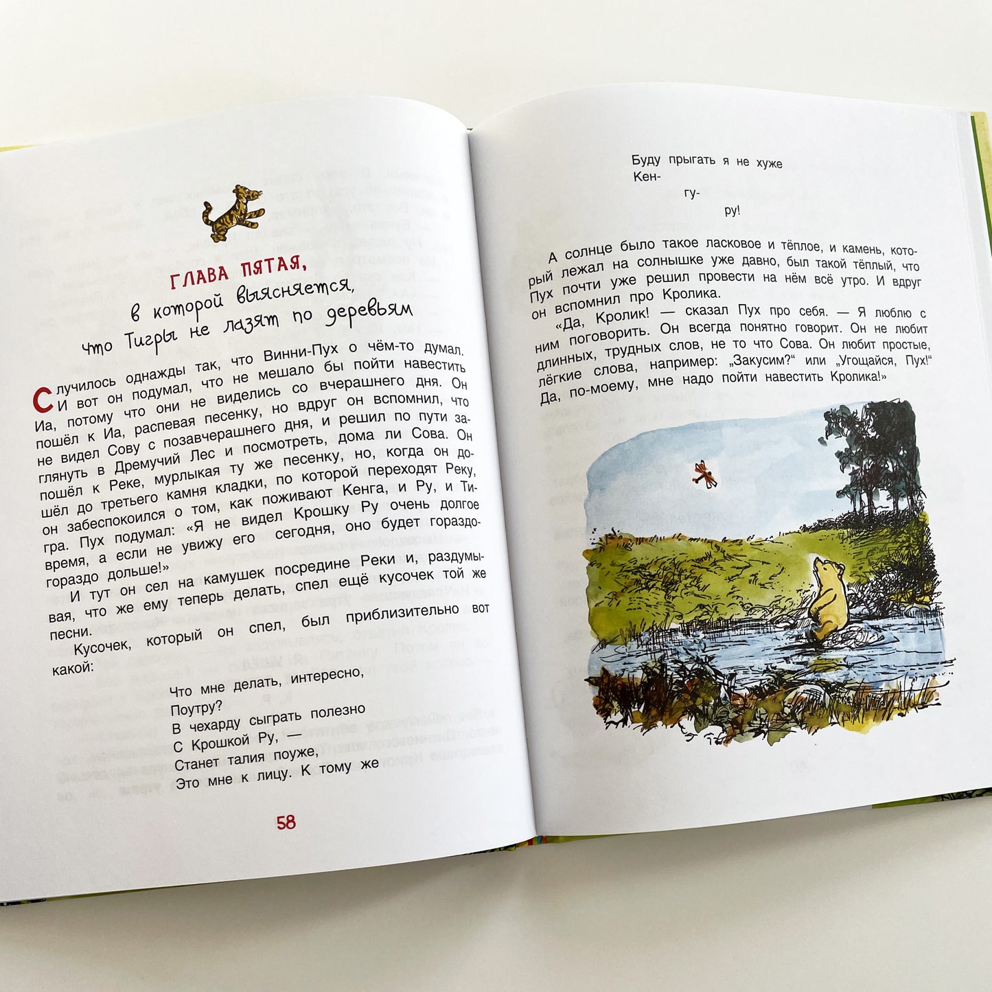 Винни-пух. Дом на Пуховой Опушке