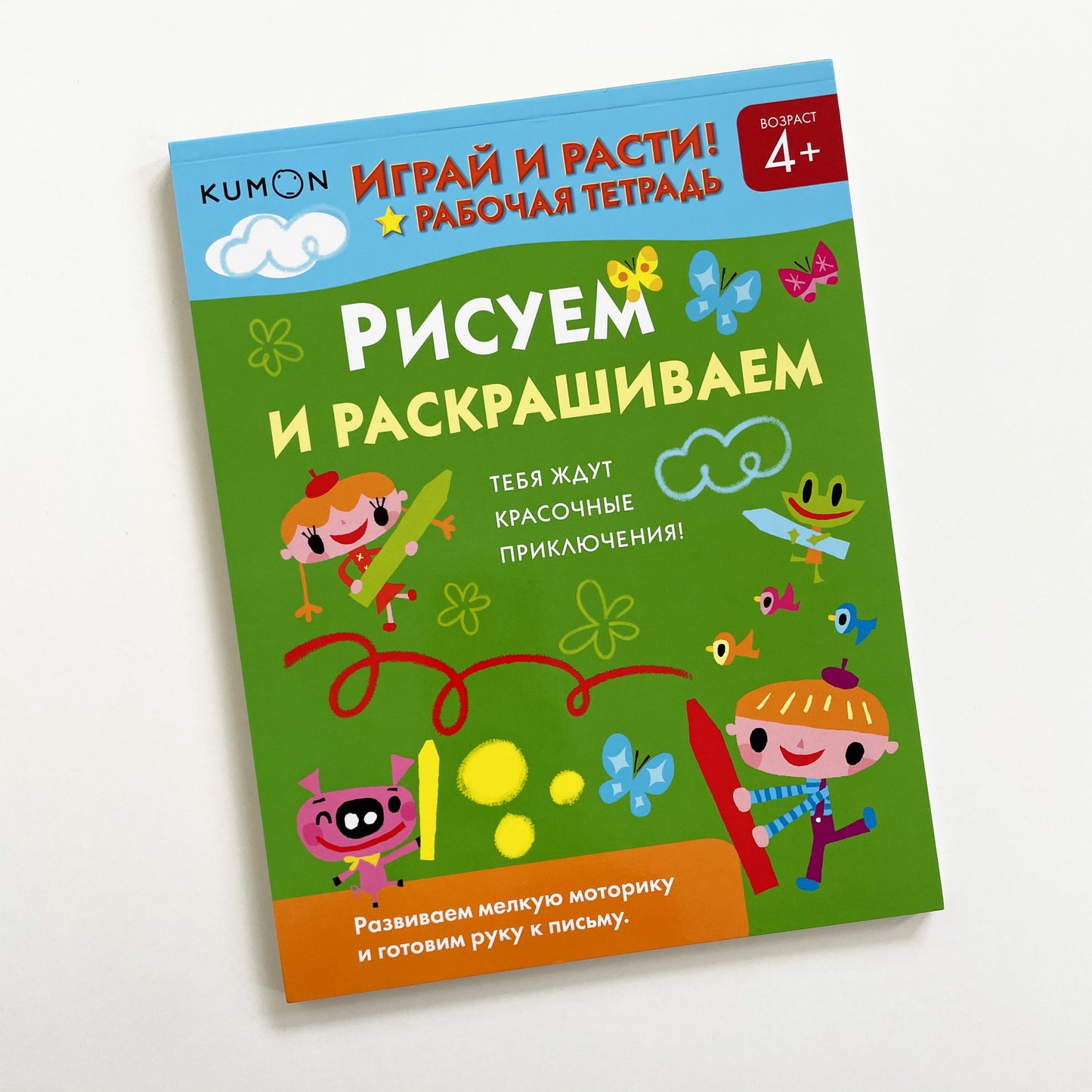 Рисуем и раскрашиваем