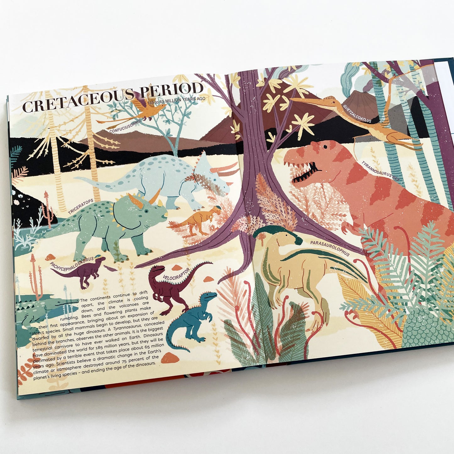 A Brief History of Life on Earth