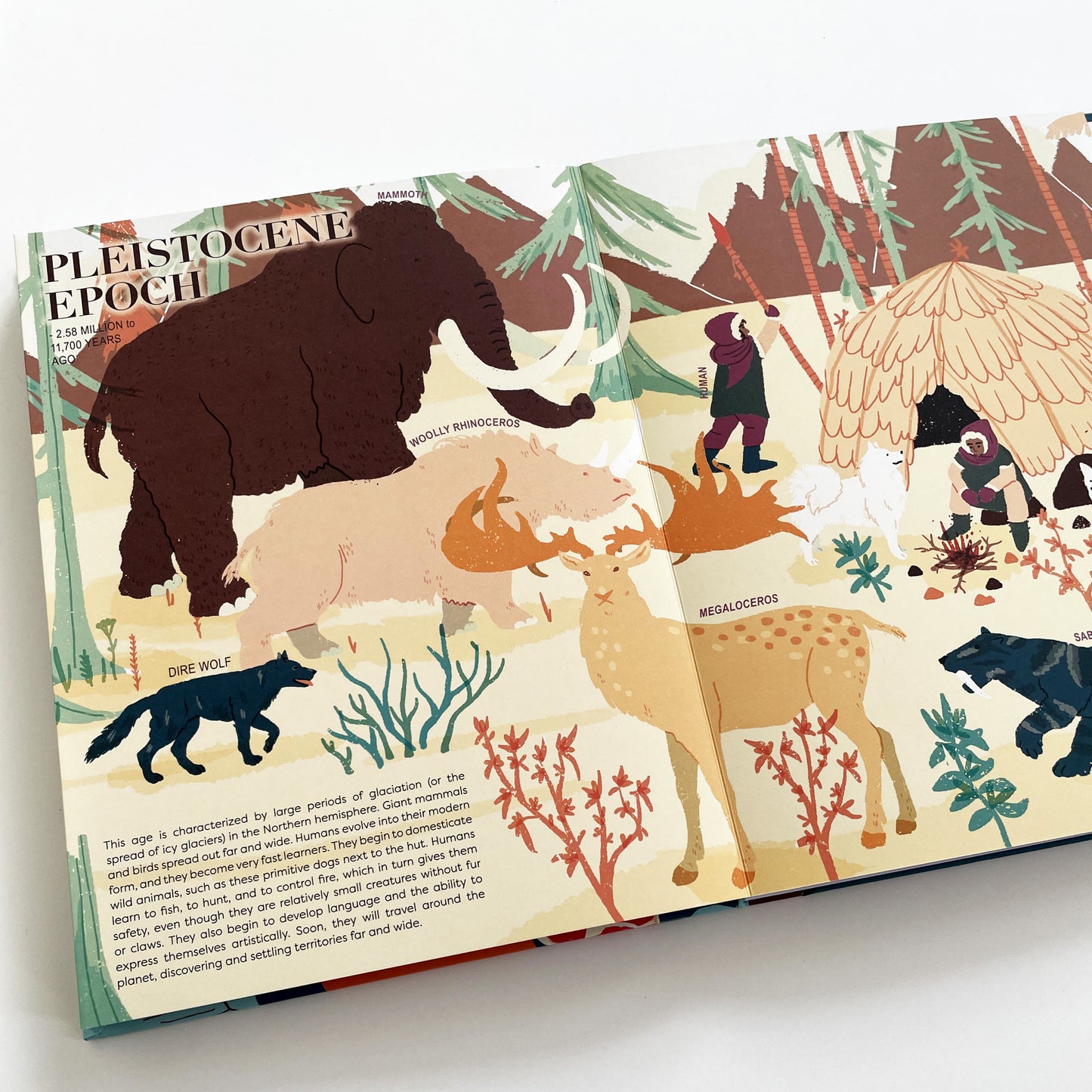 A Brief History of Life on Earth