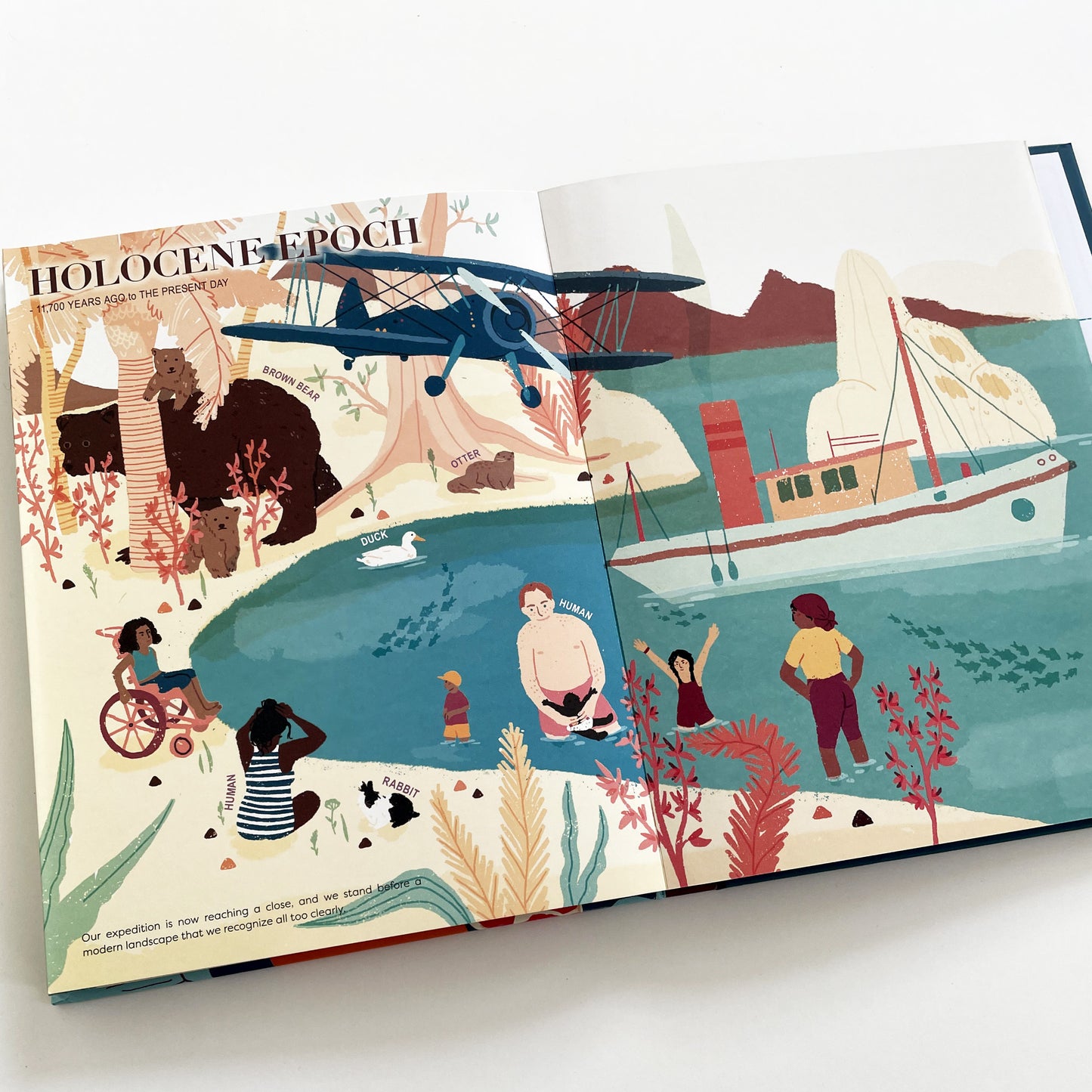 A Brief History of Life on Earth