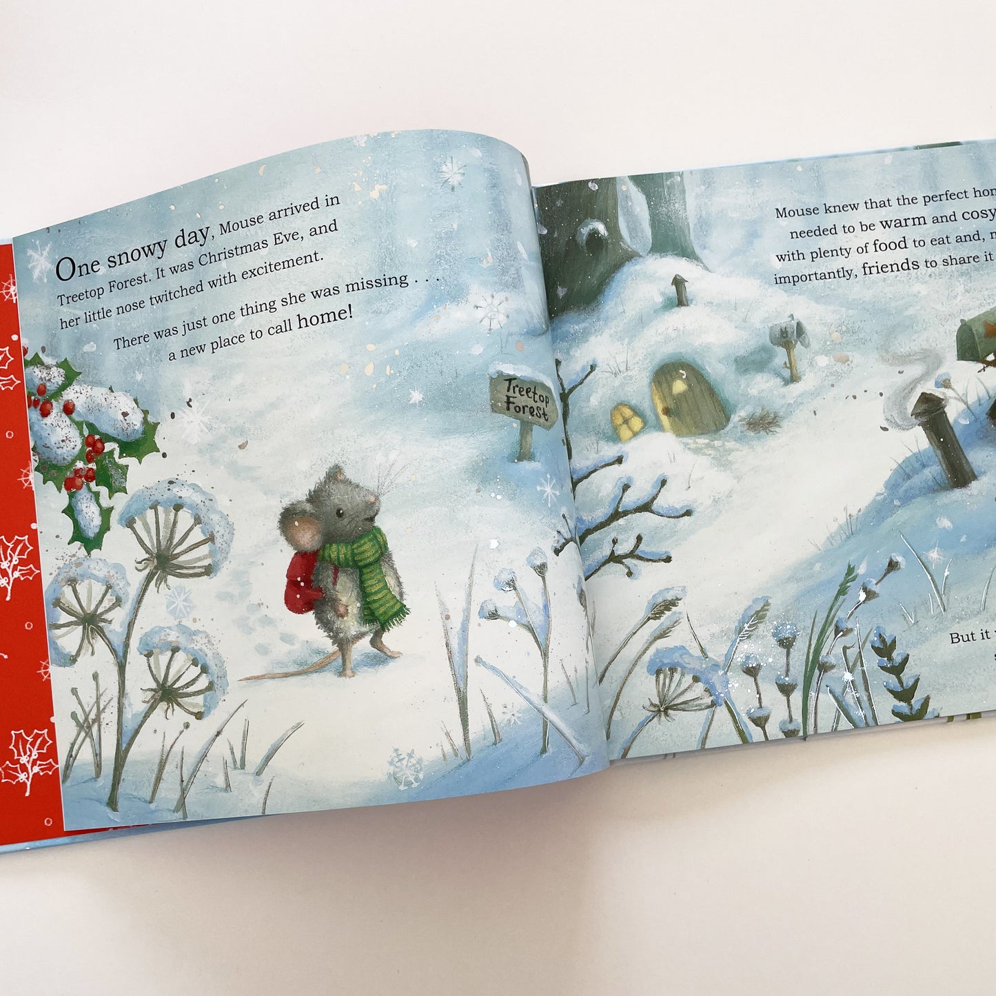 A House for Christmas Mouse