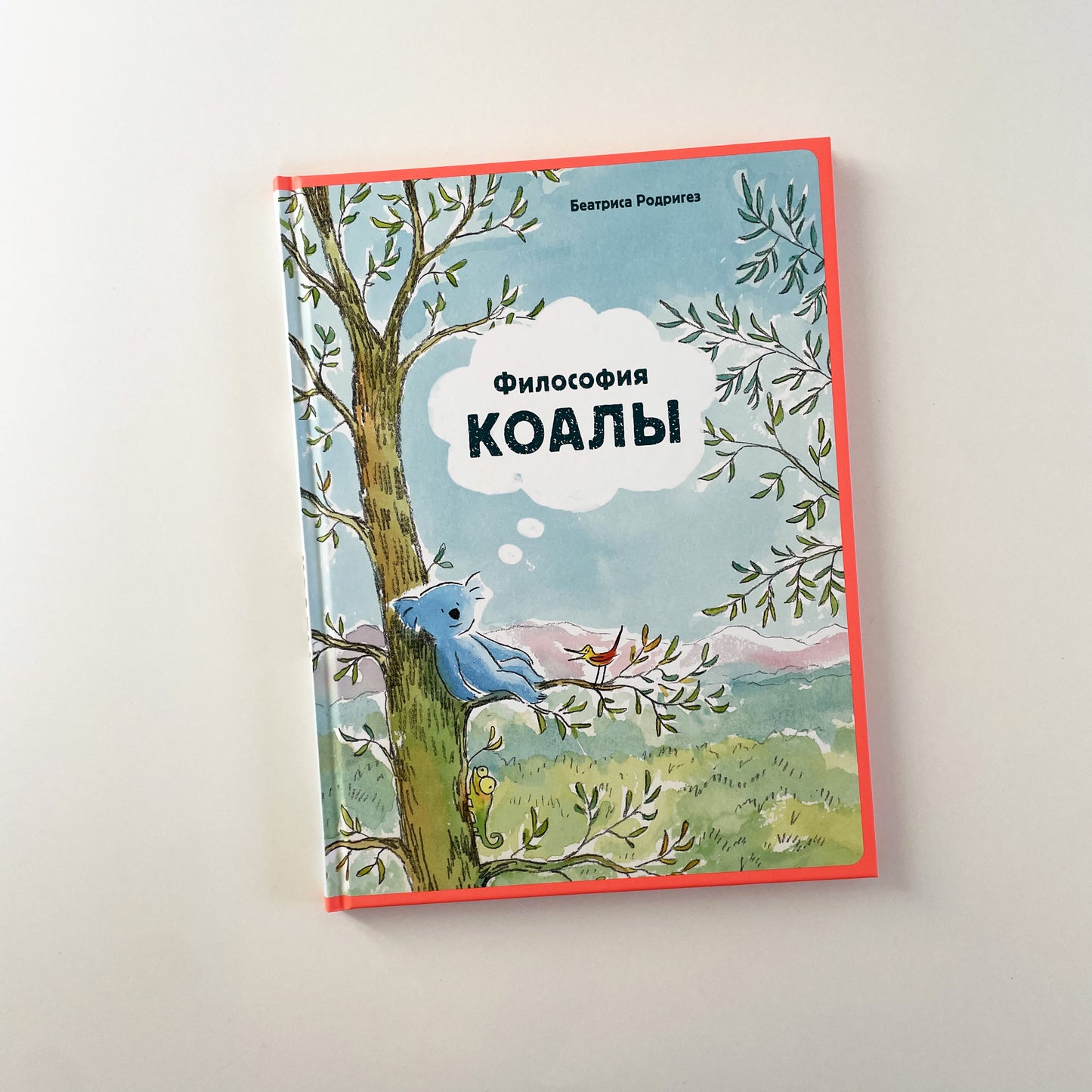 Философия Коалы