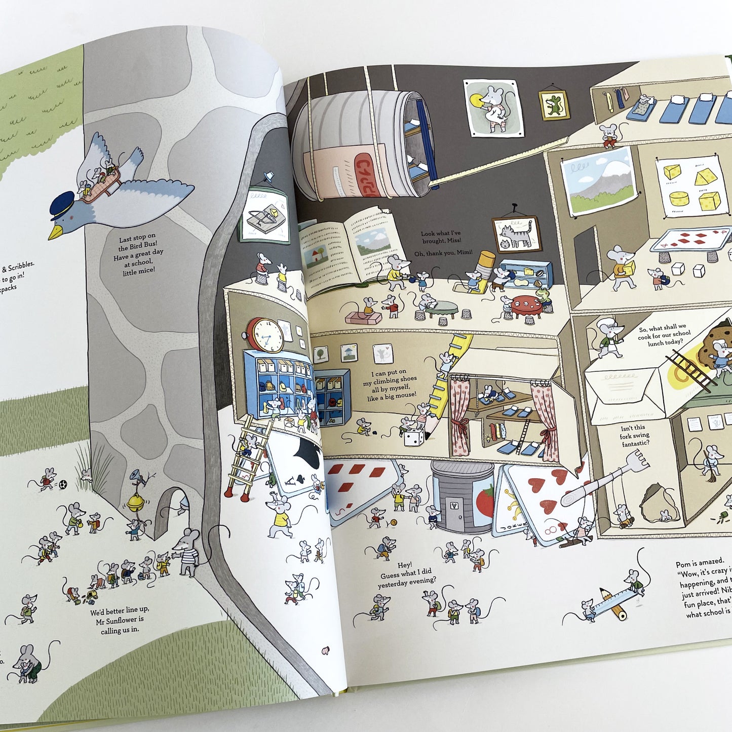 Ready, Steady, School!