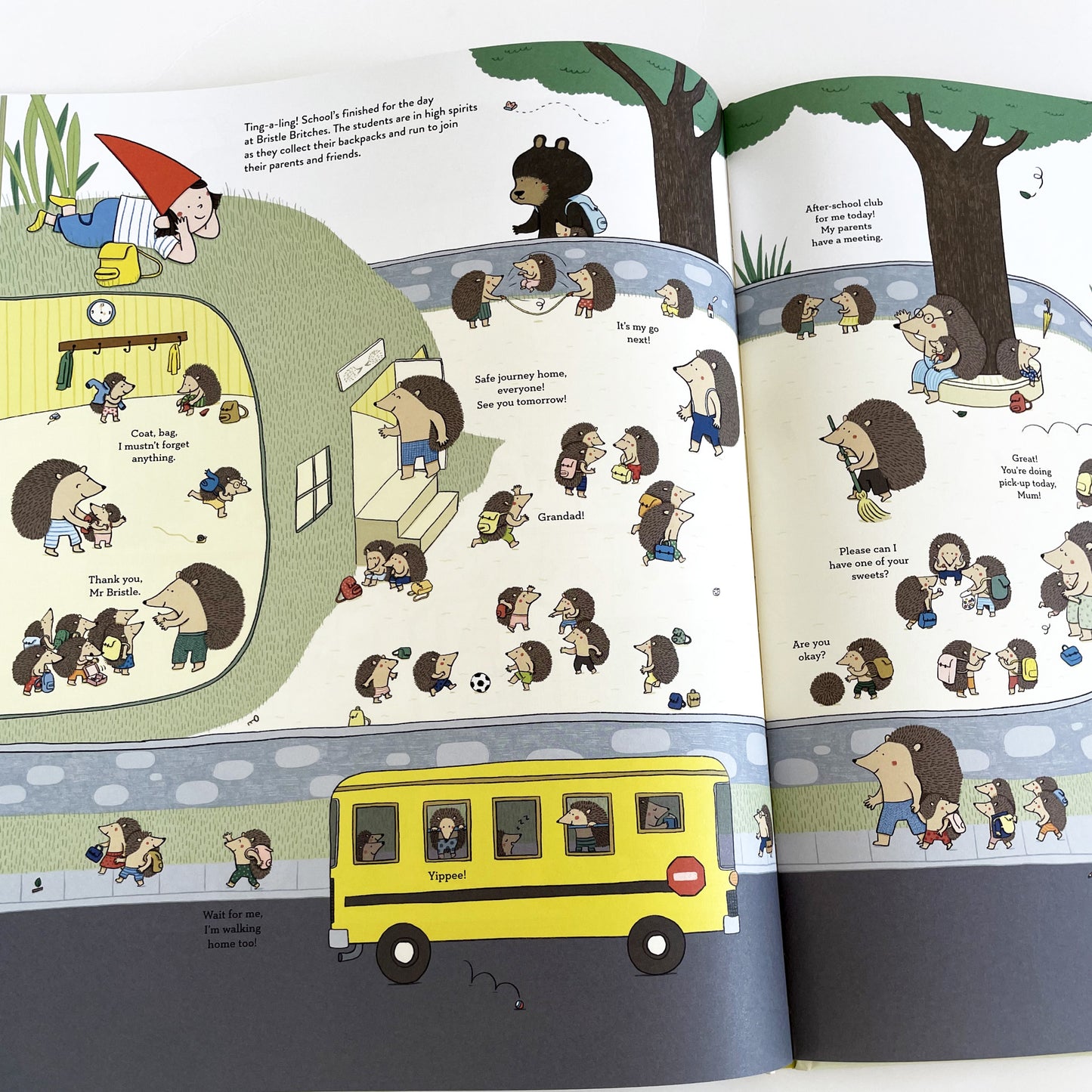 Ready, Steady, School!