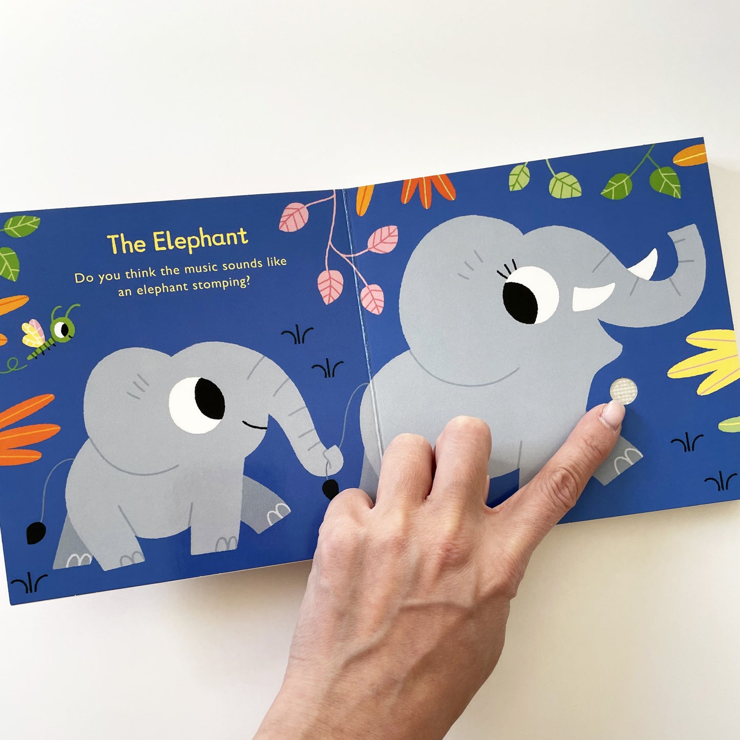 Listen to the Carnival of the Animals