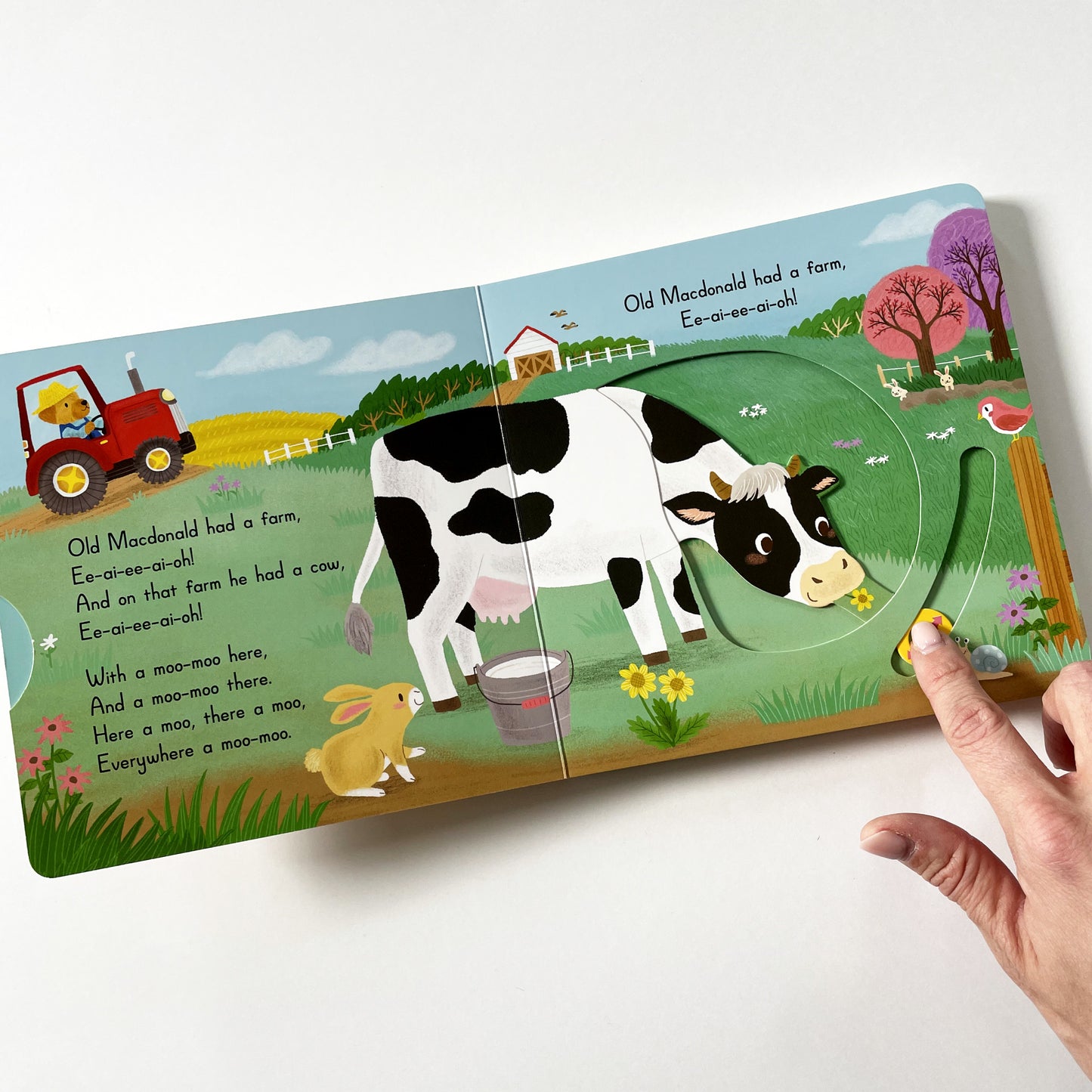 Old Macdonald had a Farm