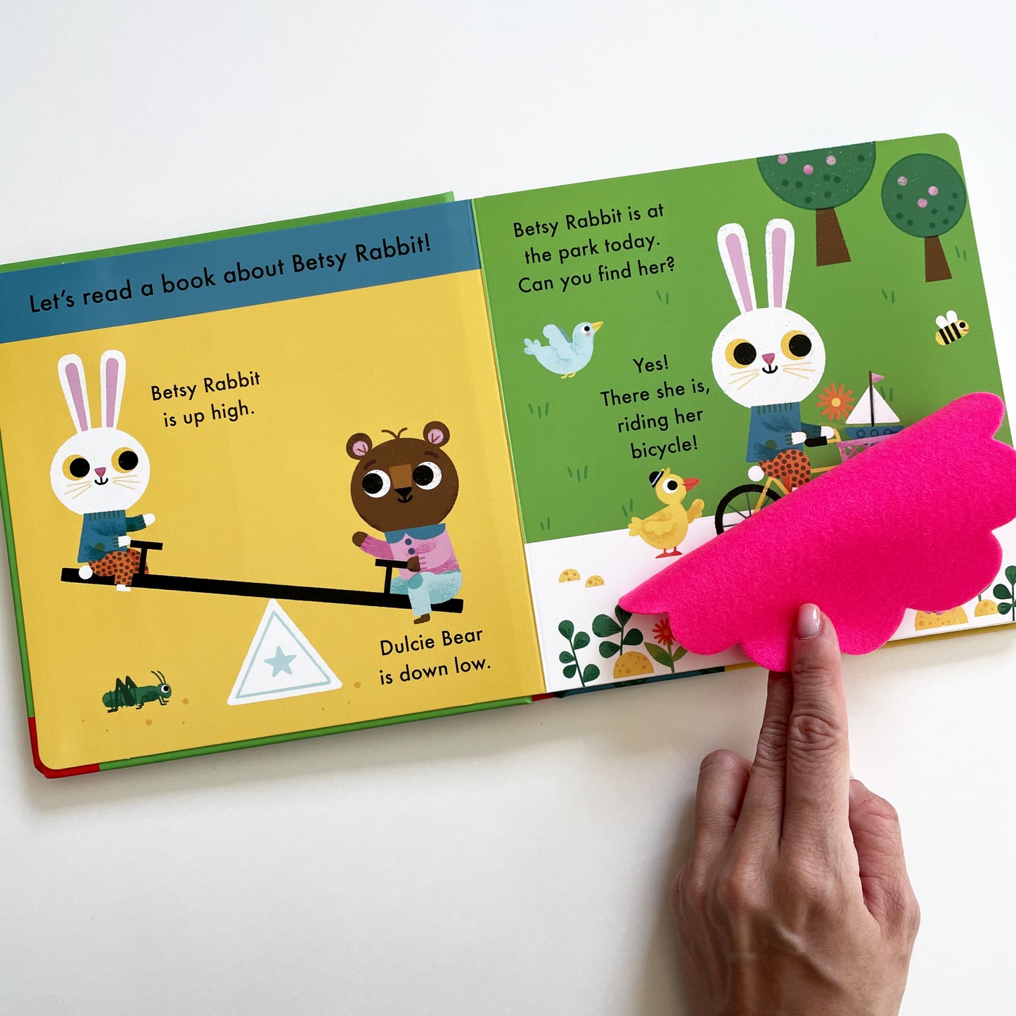 A Book About Betsy Rabbit in the Park