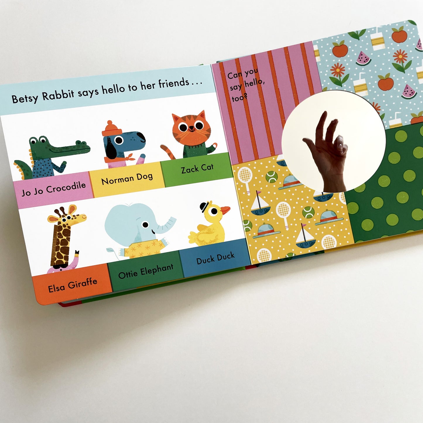 A Book About Betsy Rabbit in the Park