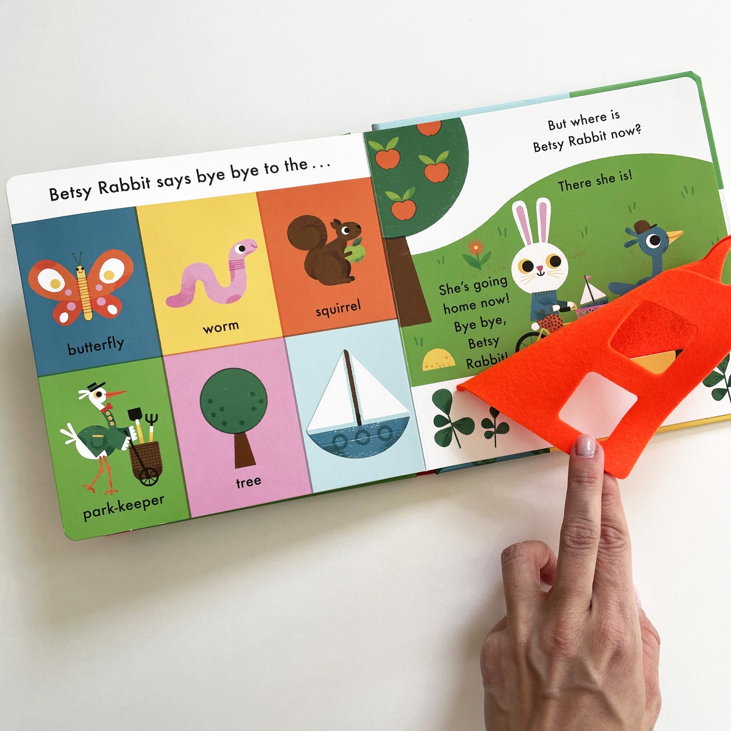 A Book About Betsy Rabbit in the Park