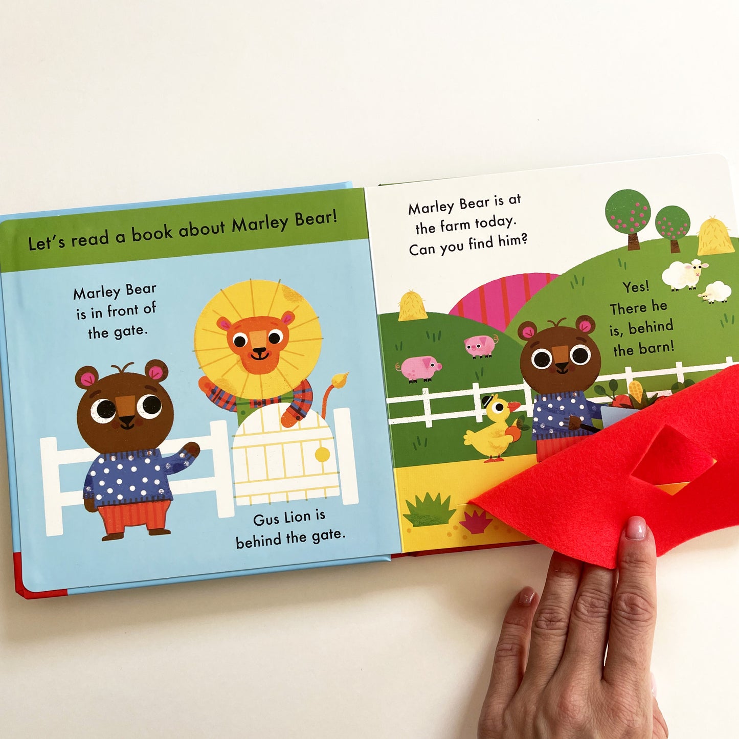A Book About Marley Bear at the Farm