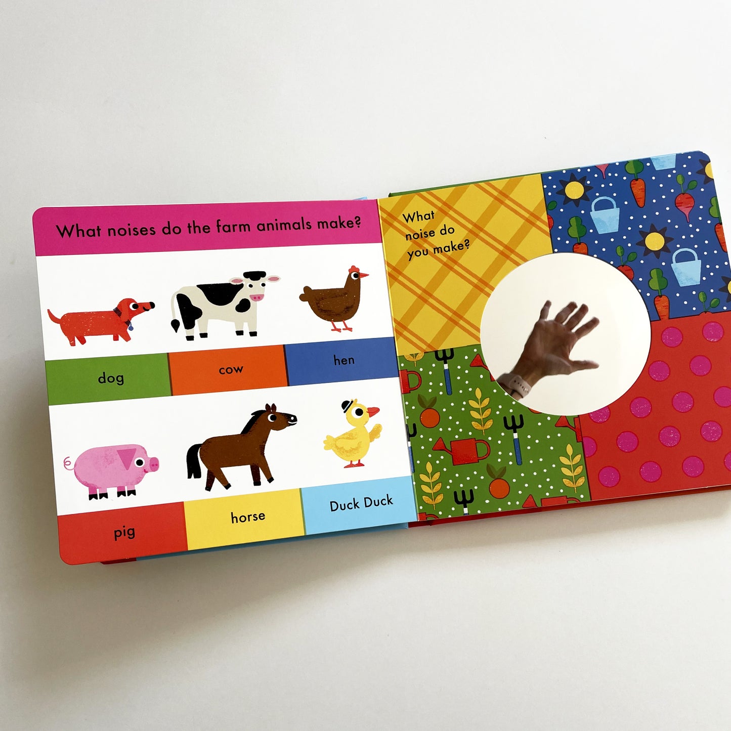 A Book About Marley Bear at the Farm