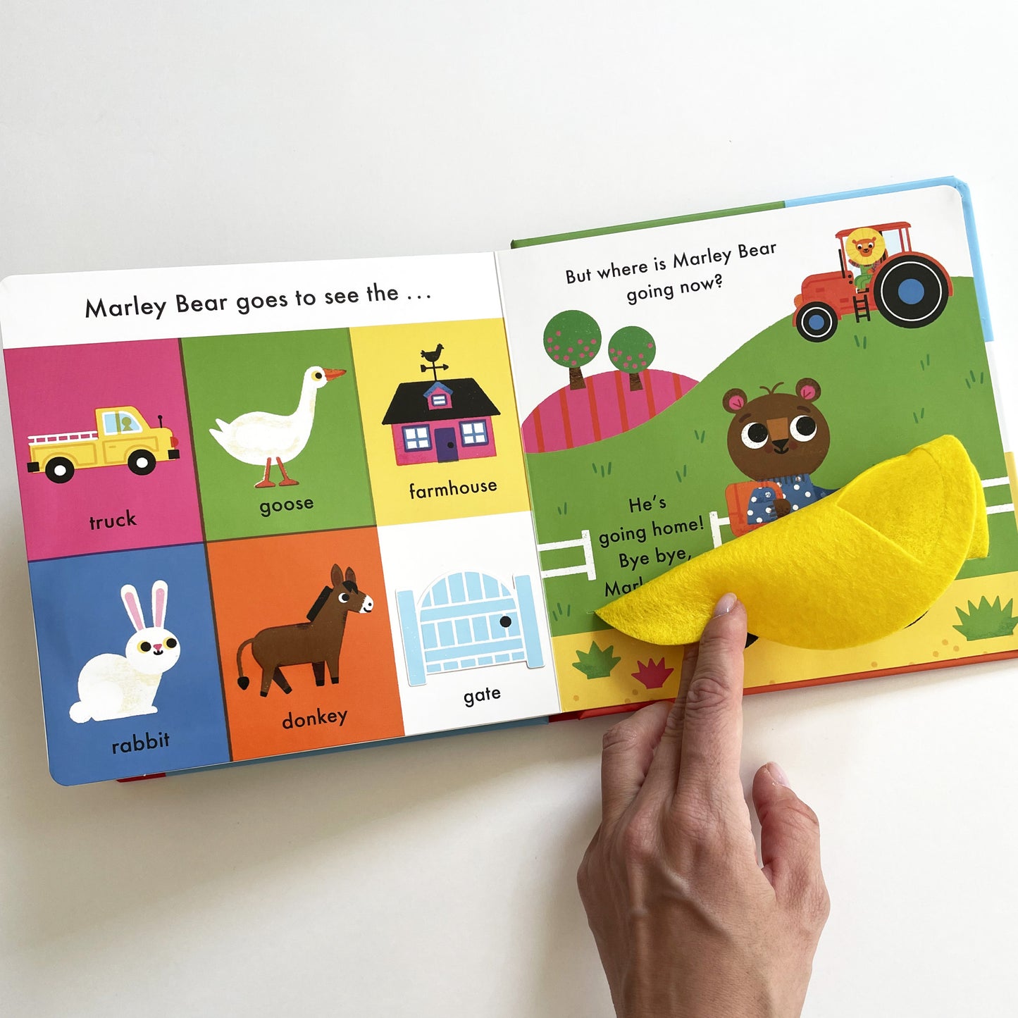 A Book About Marley Bear at the Farm
