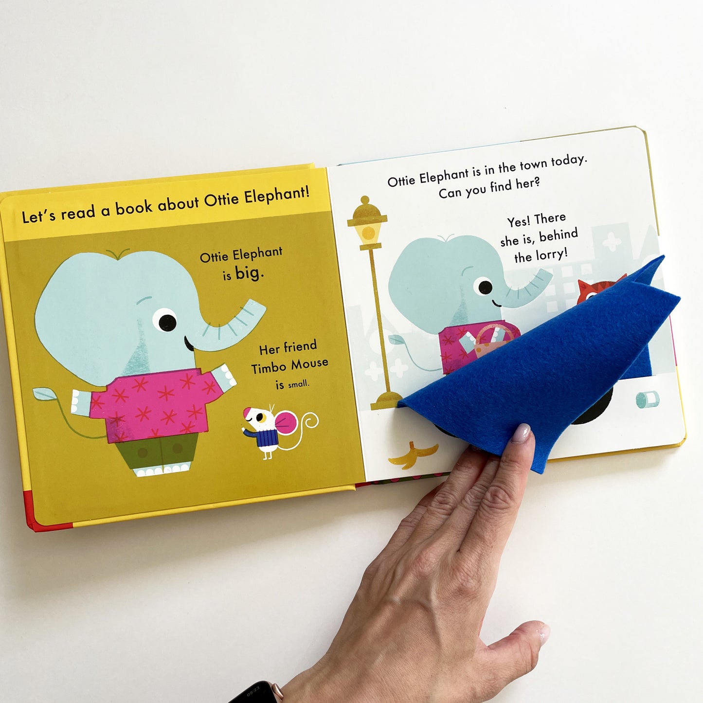 A Book About Ottie Elephant in the Town