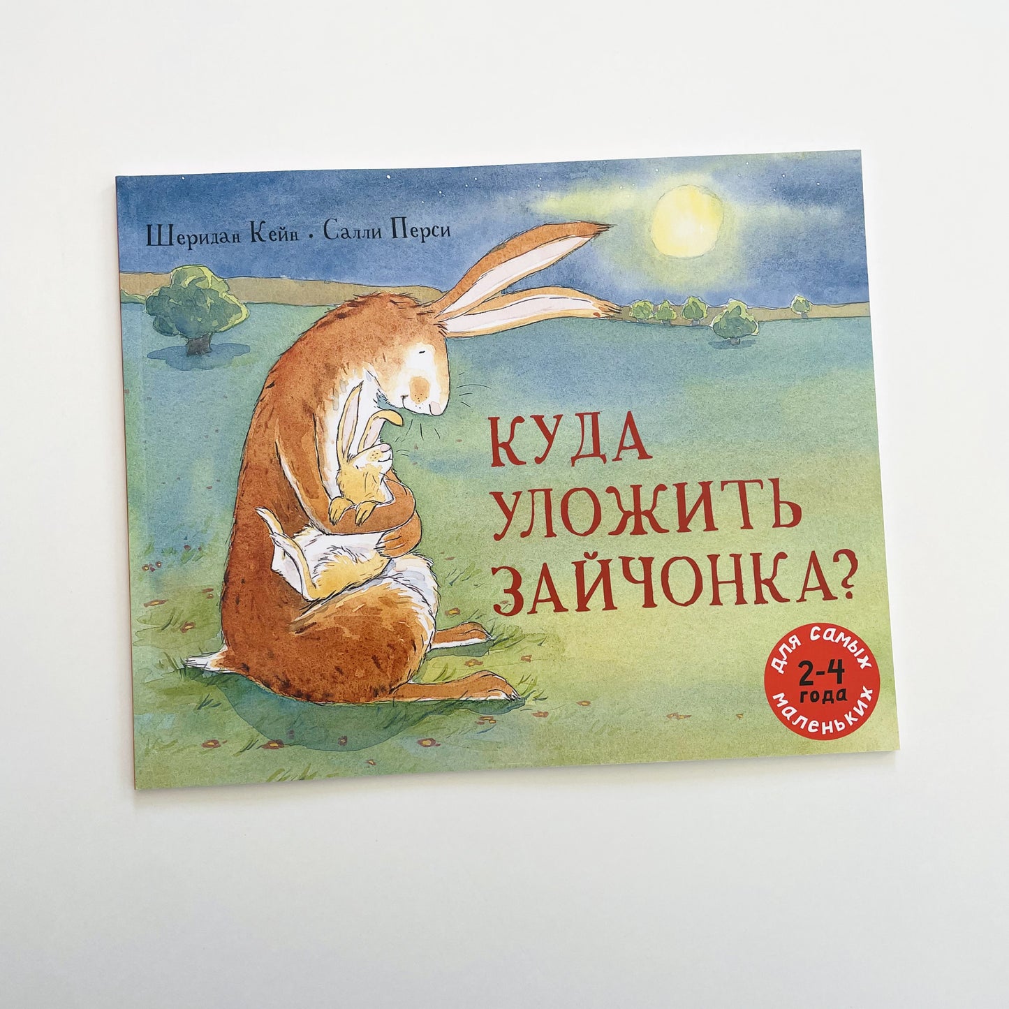 Куда уложить зайчонка?