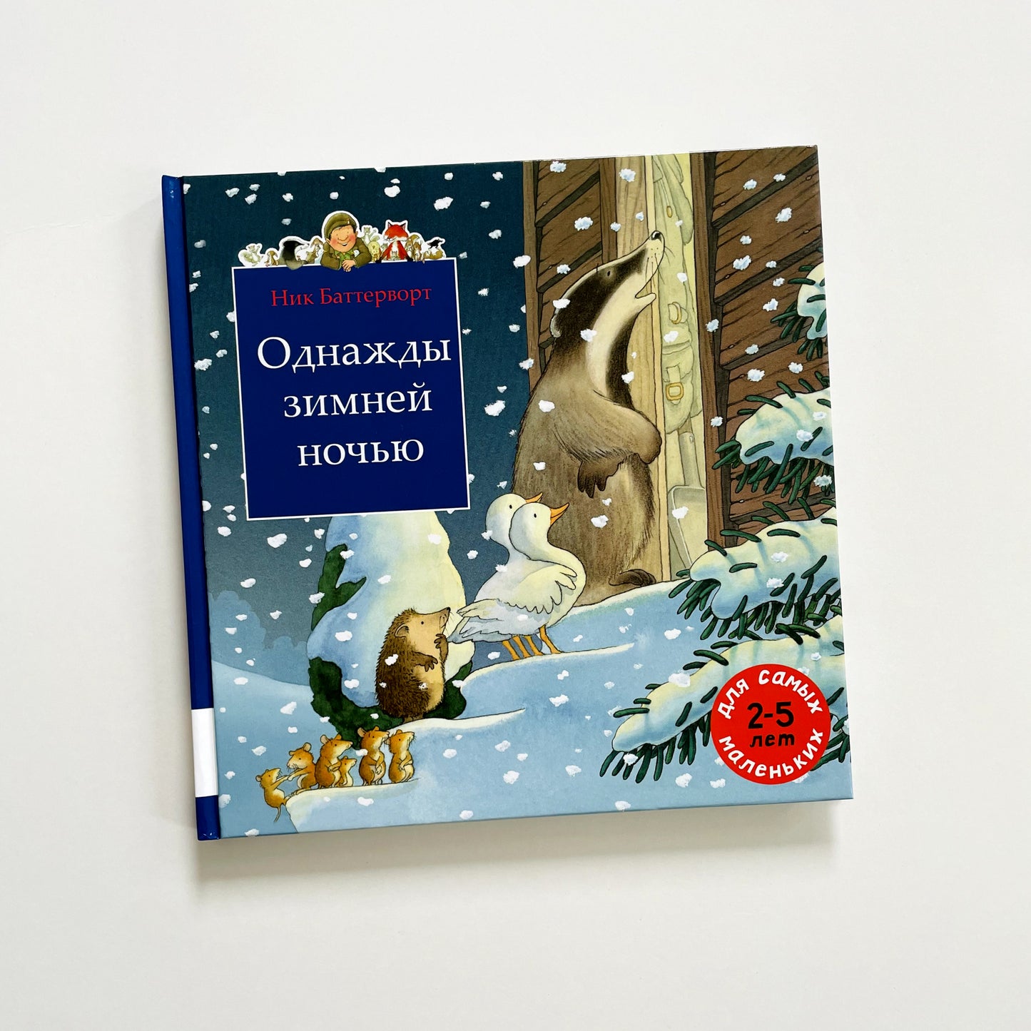 Однажды зимней ночью