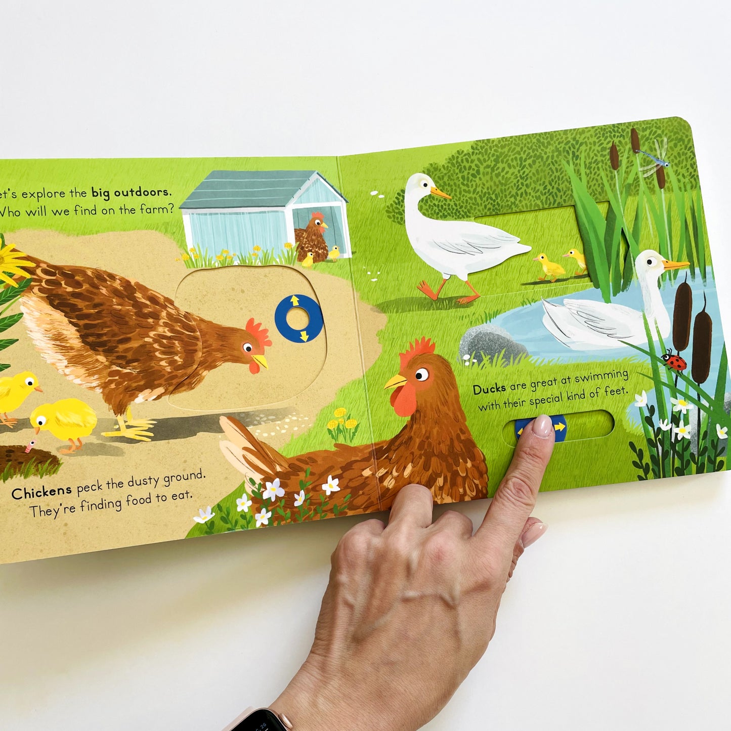 Big Outdoors for Little Explorers: Farm