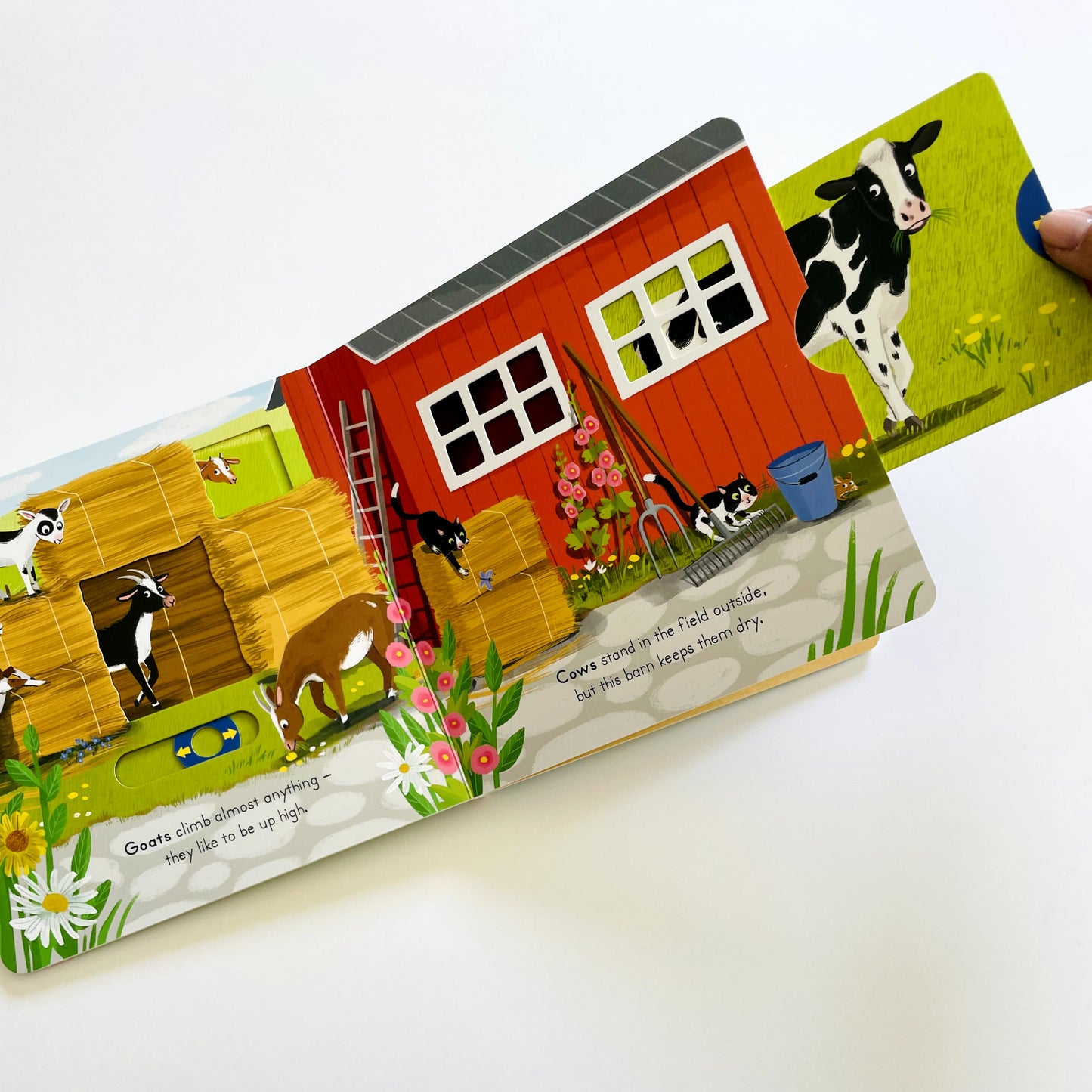 Big Outdoors for Little Explorers: Farm