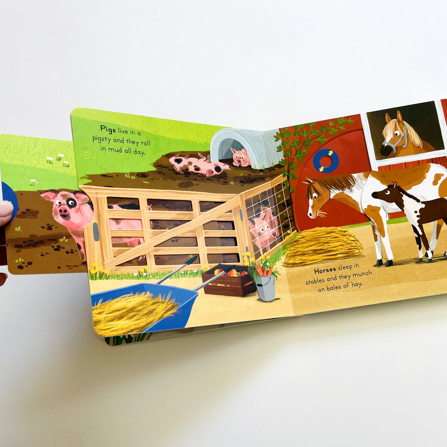 Big Outdoors for Little Explorers: Farm