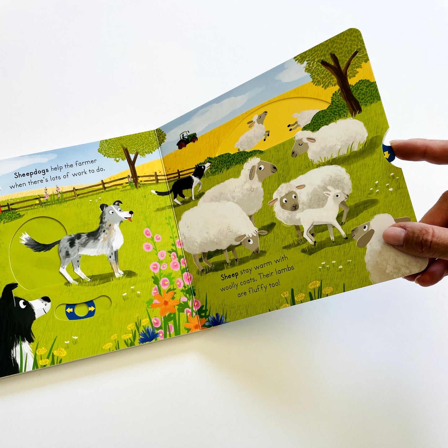 Big Outdoors for Little Explorers: Farm