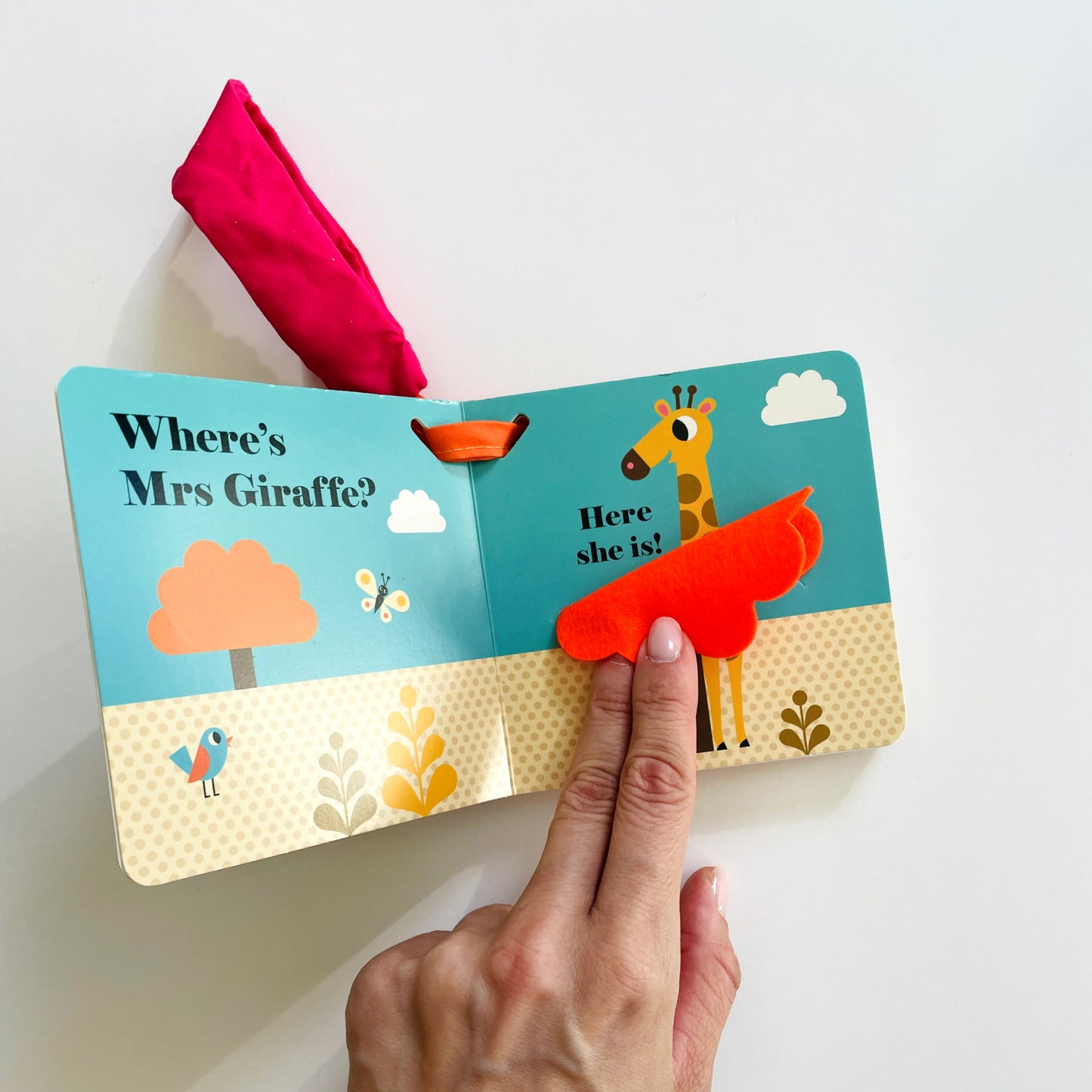 Where's Mr Lion? Buggy Book