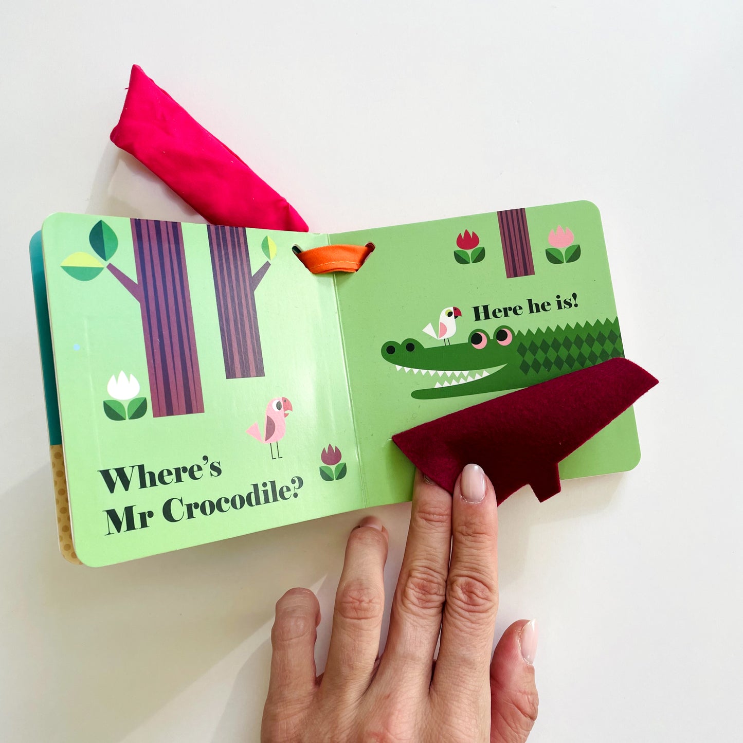 Where's Mr Lion? Buggy Book