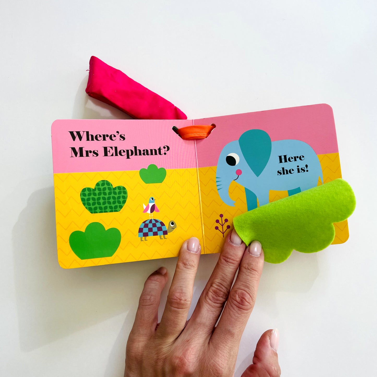 Where's Mr Lion? Buggy Book