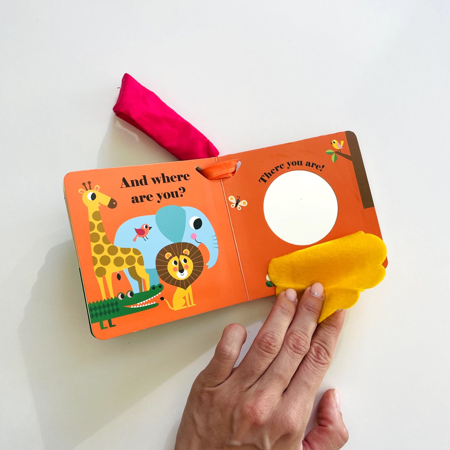 Where's Mr Lion? Buggy Book